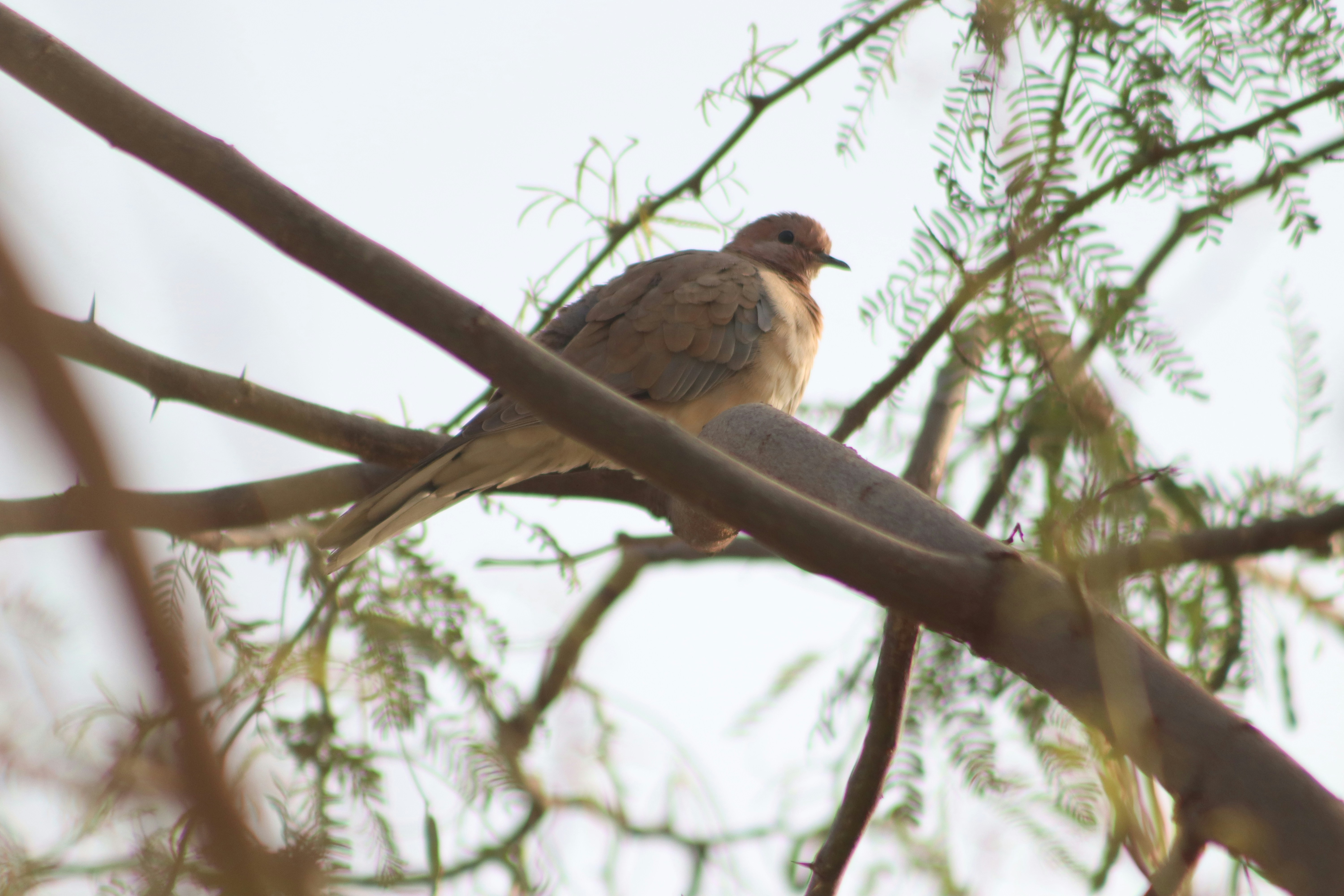 Photo by drphotographer152