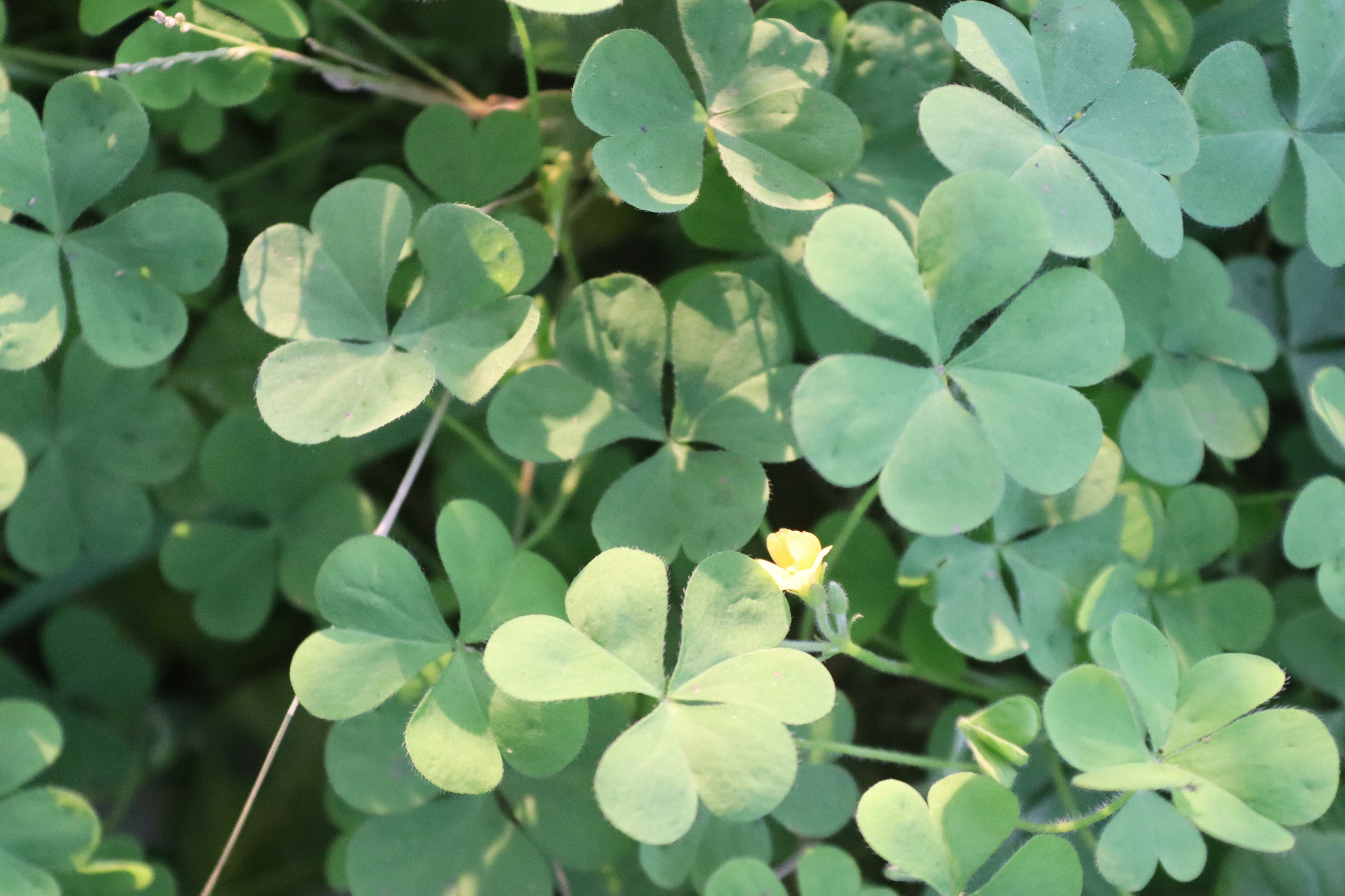 Photo by drphotographer152