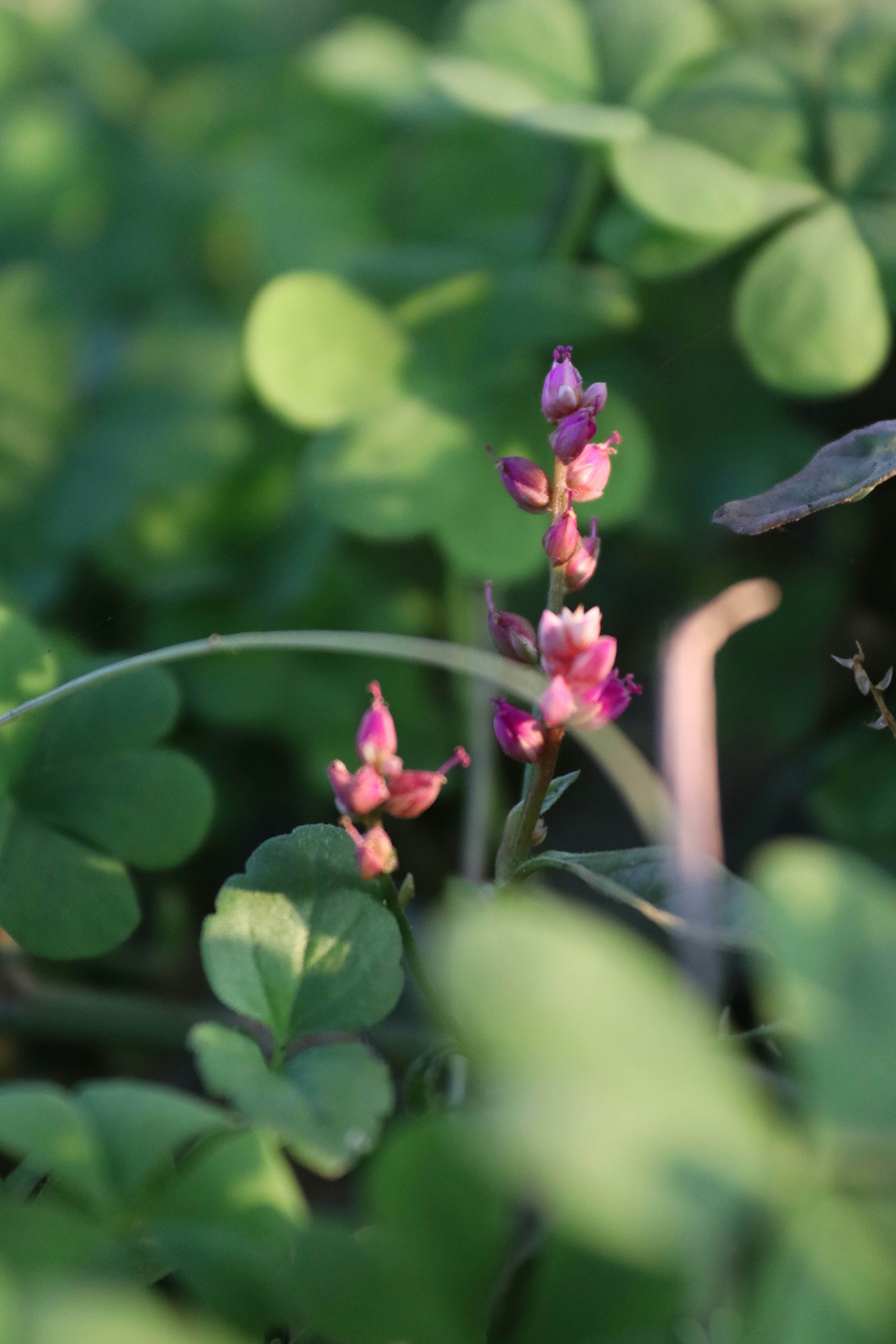 Photo by drphotographer152