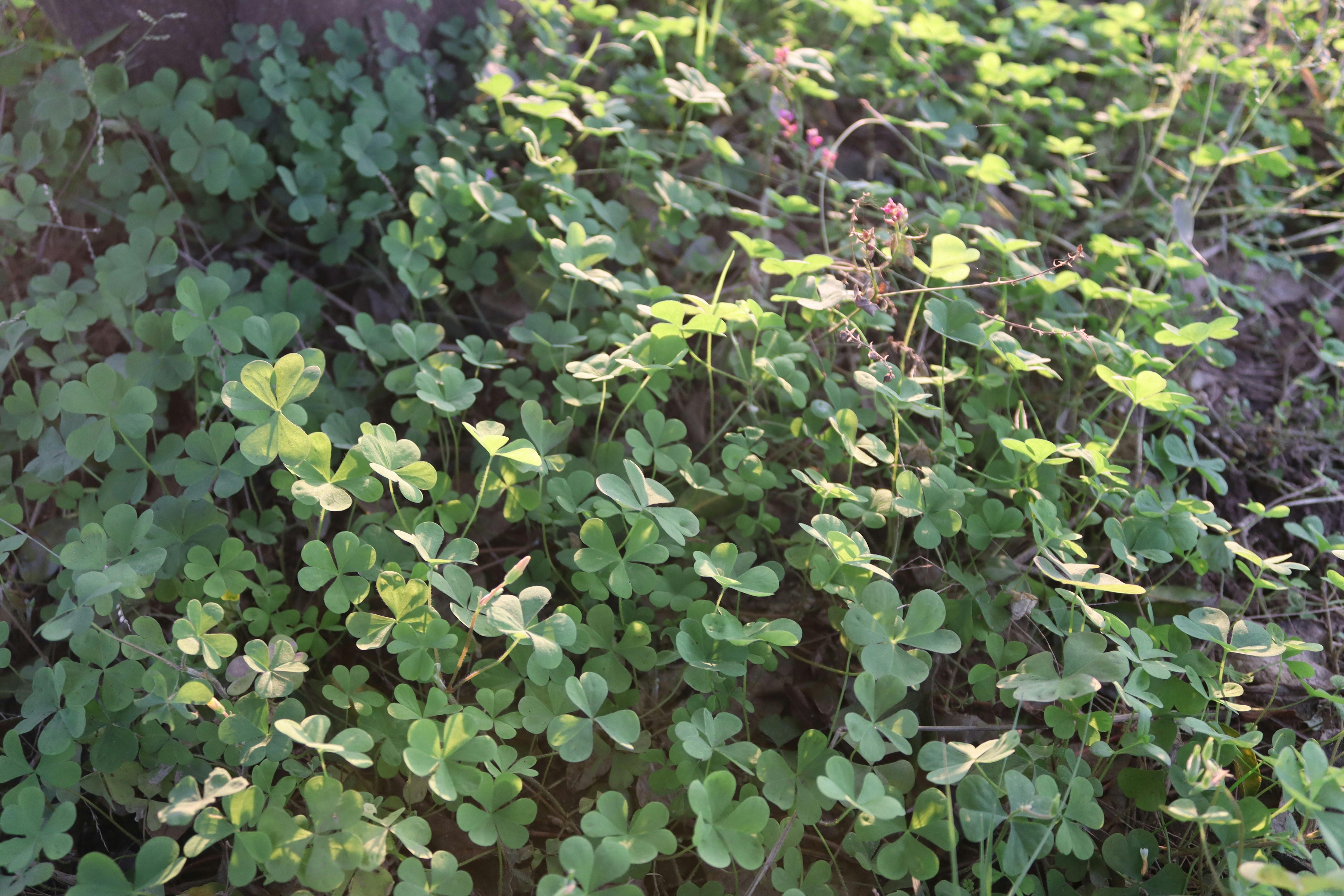 Photo by drphotographer152