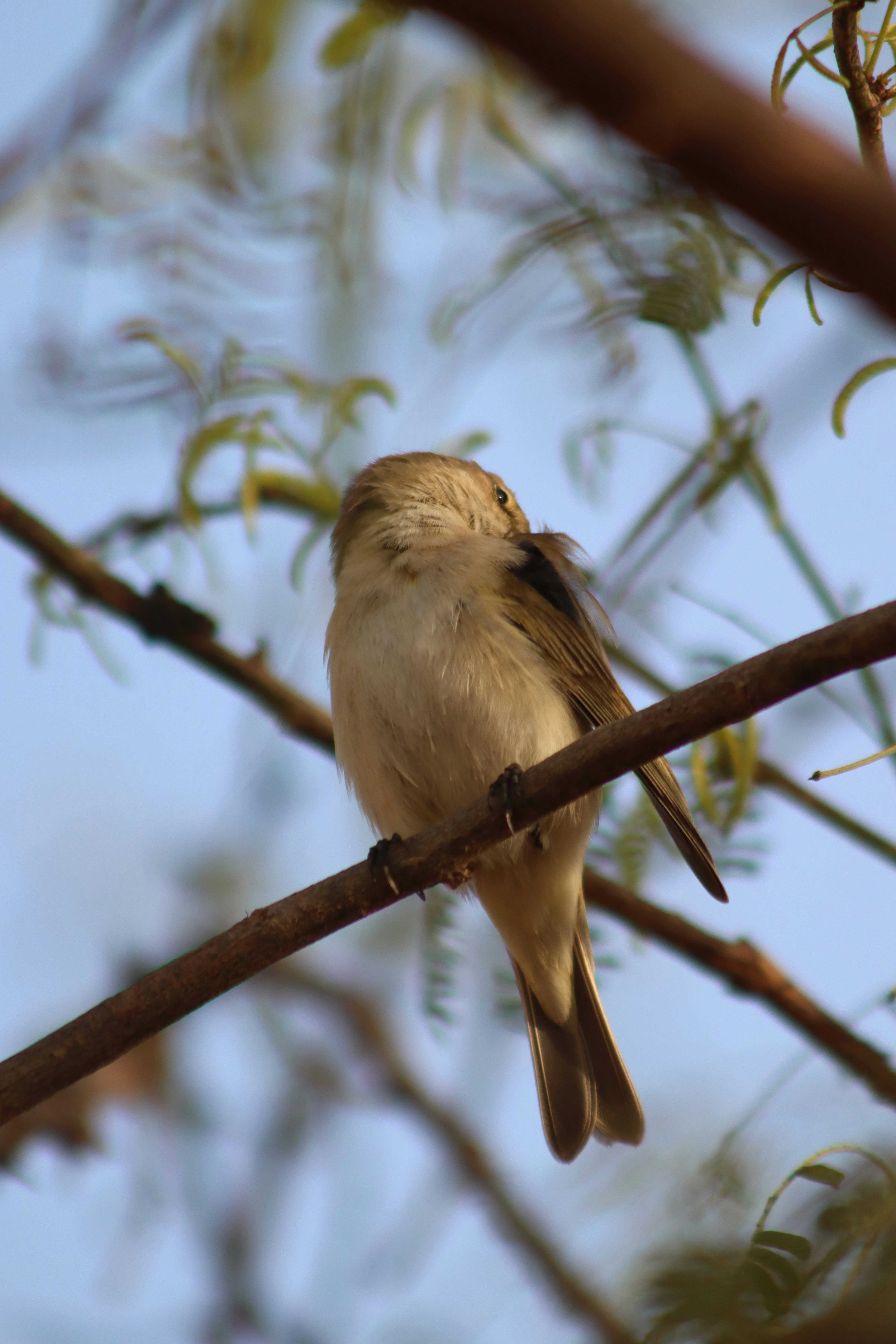 Photo by drphotographer152