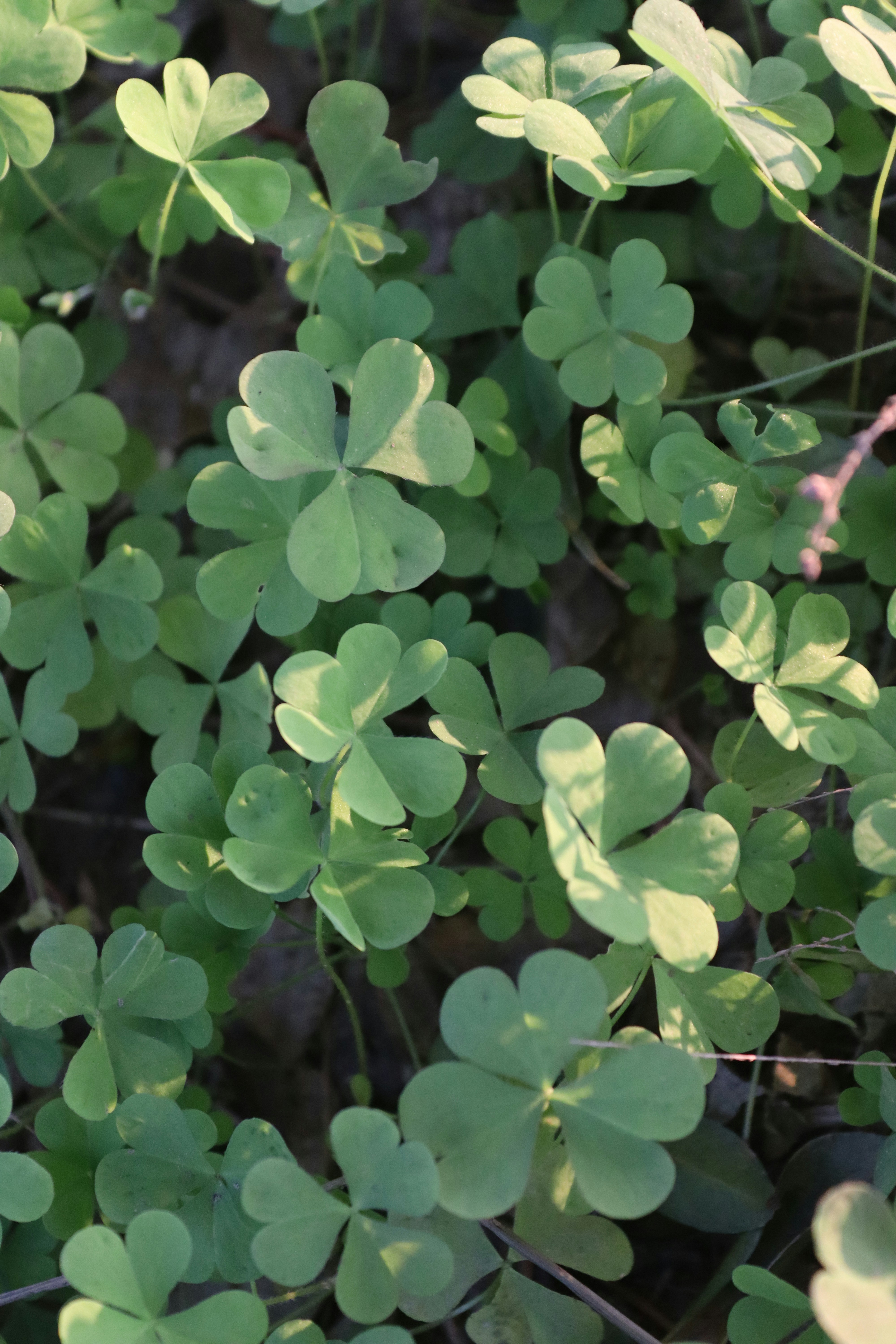 Photo by drphotographer152