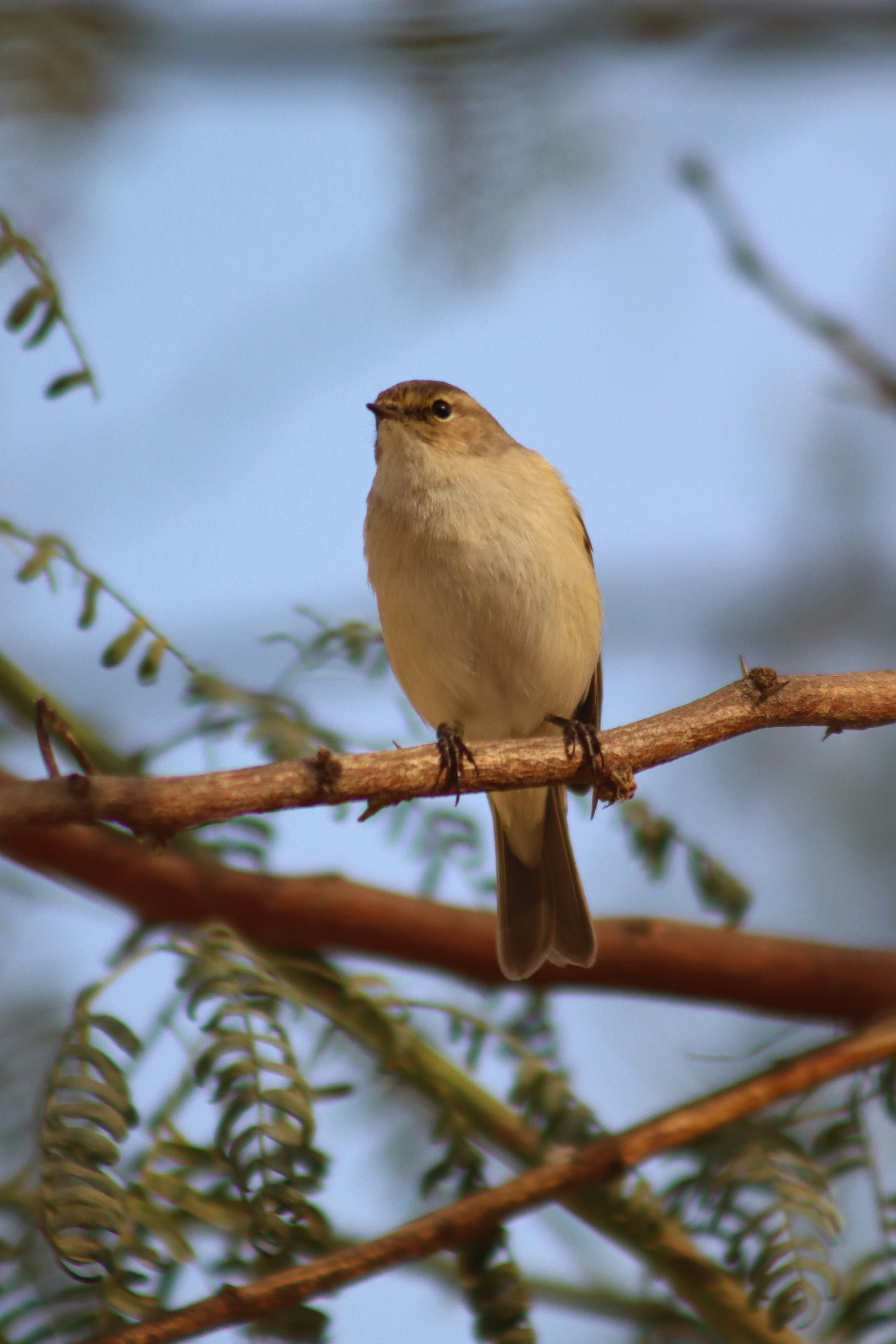 Photo by drphotographer152