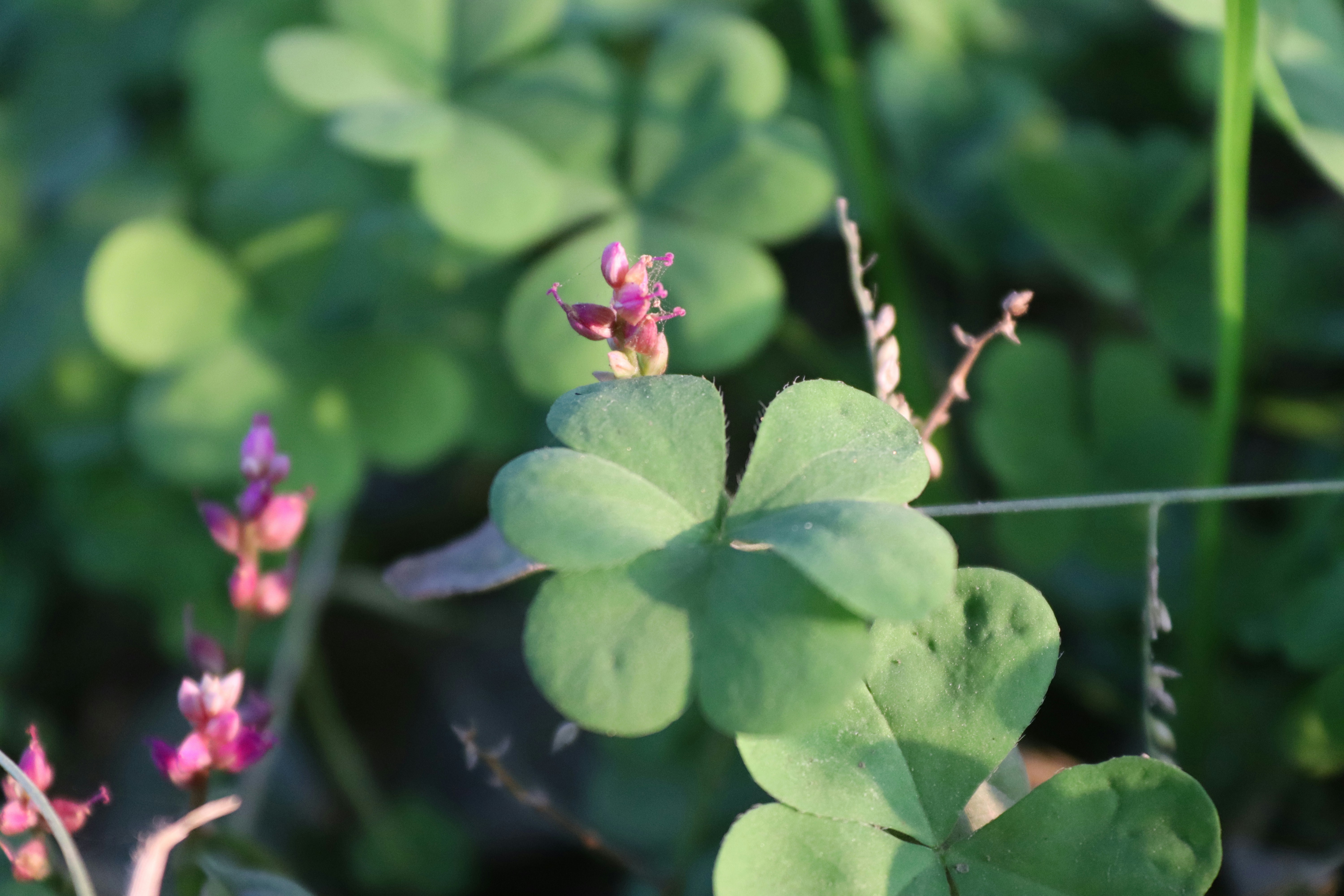 Photo by drphotographer152