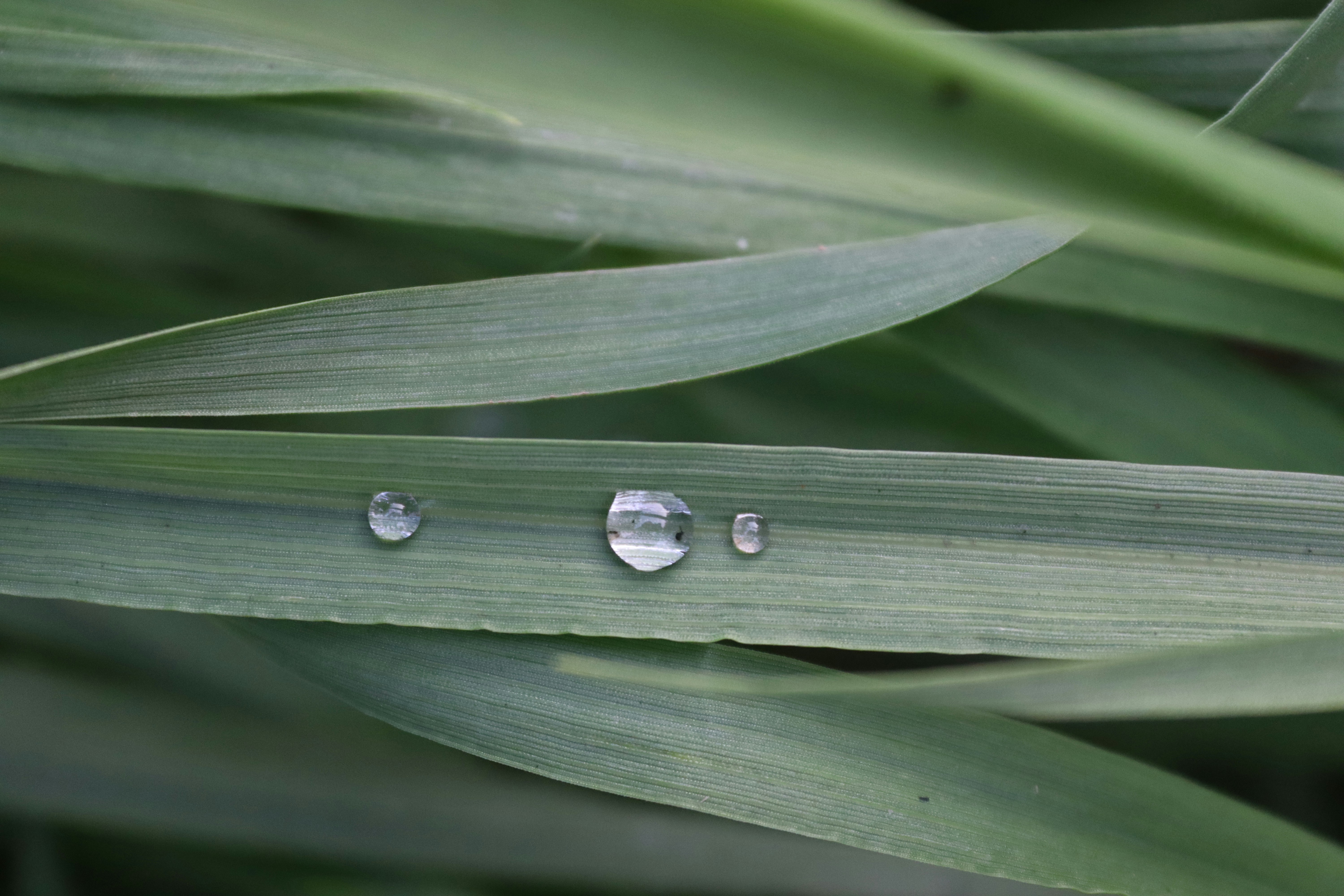 Photo by drphotographer152