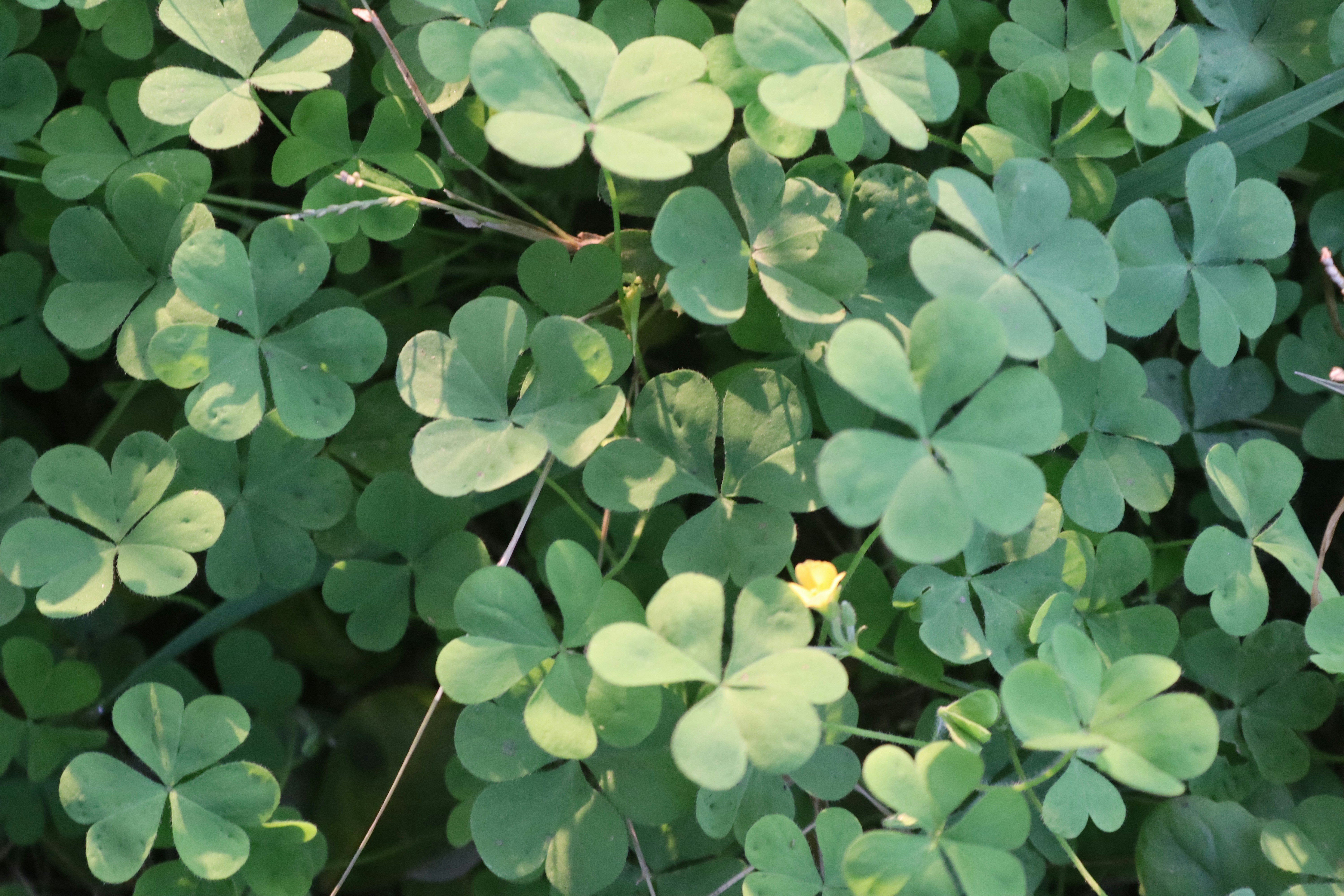 Photo by drphotographer152