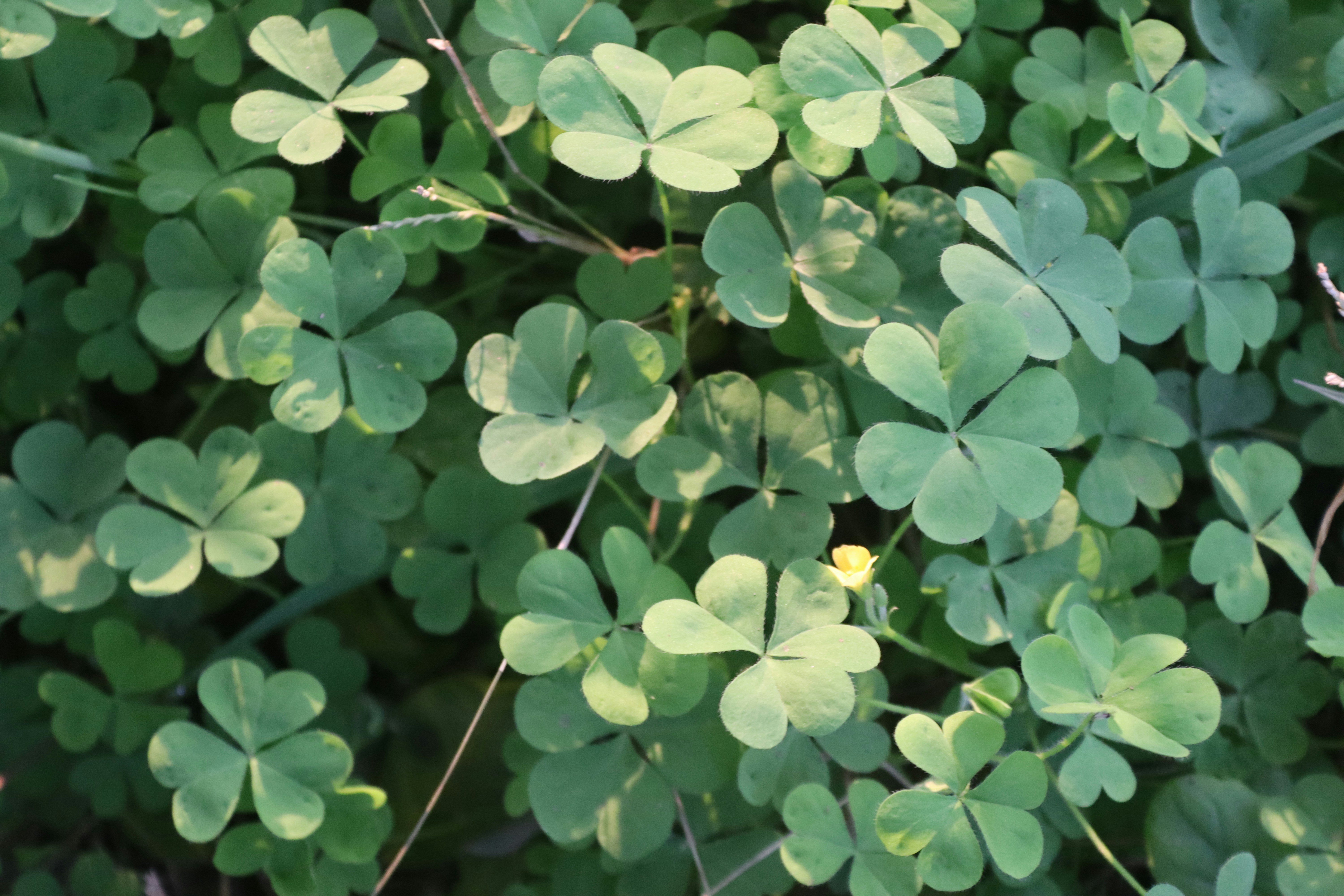 Photo by drphotographer152