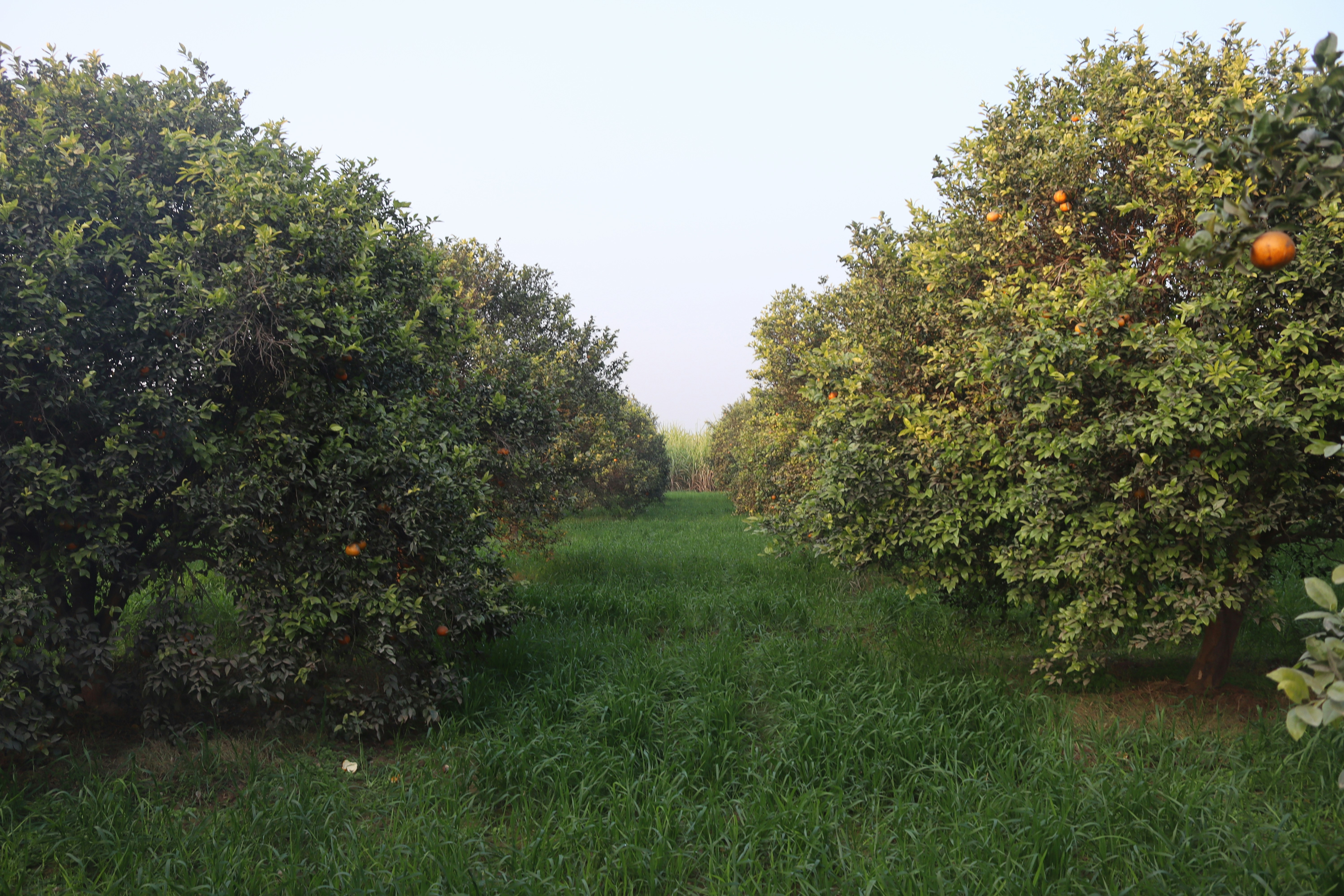 Photo by drphotographer152