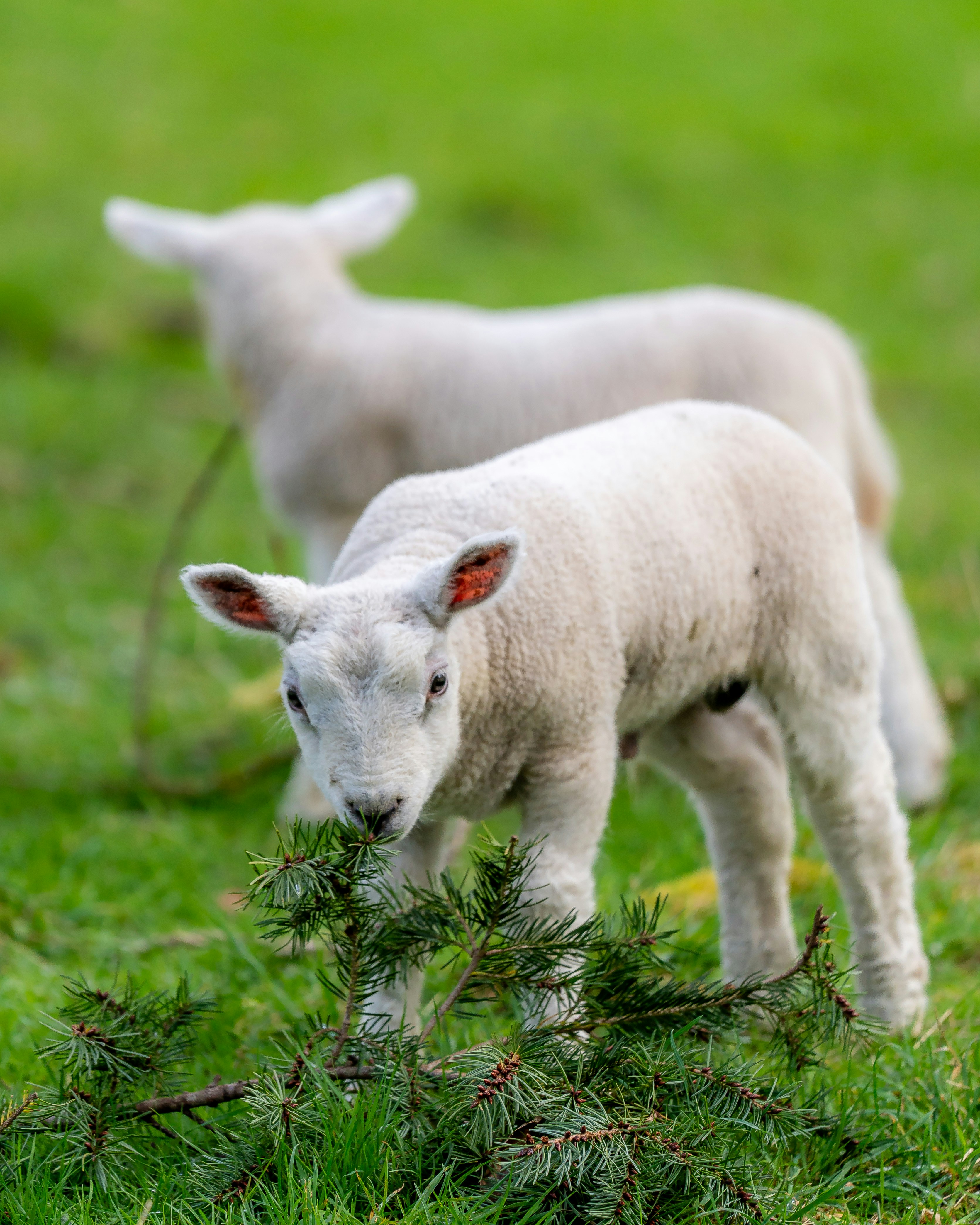 Photo by abidestudios