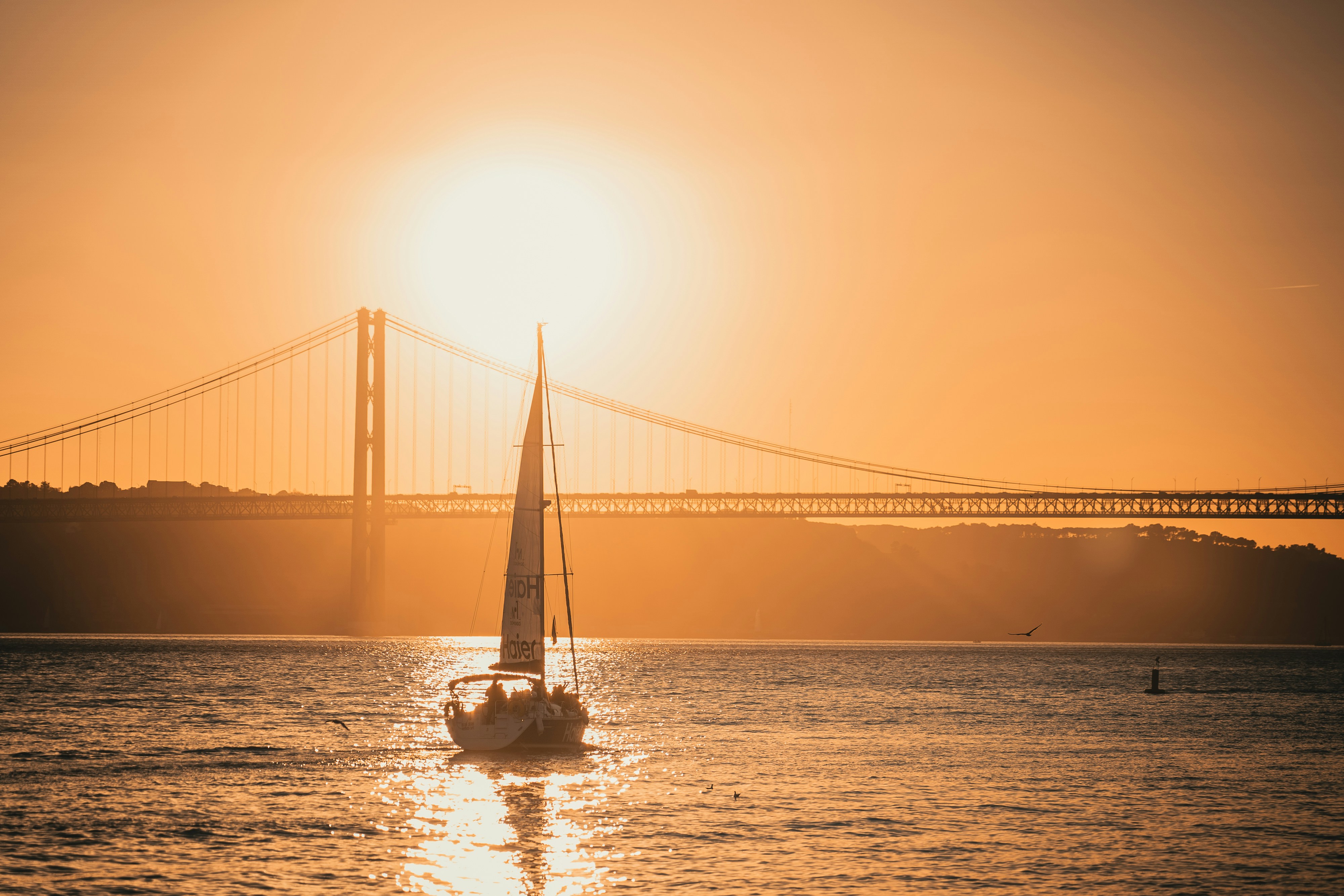 A sailboat in the water with a bridge in the background