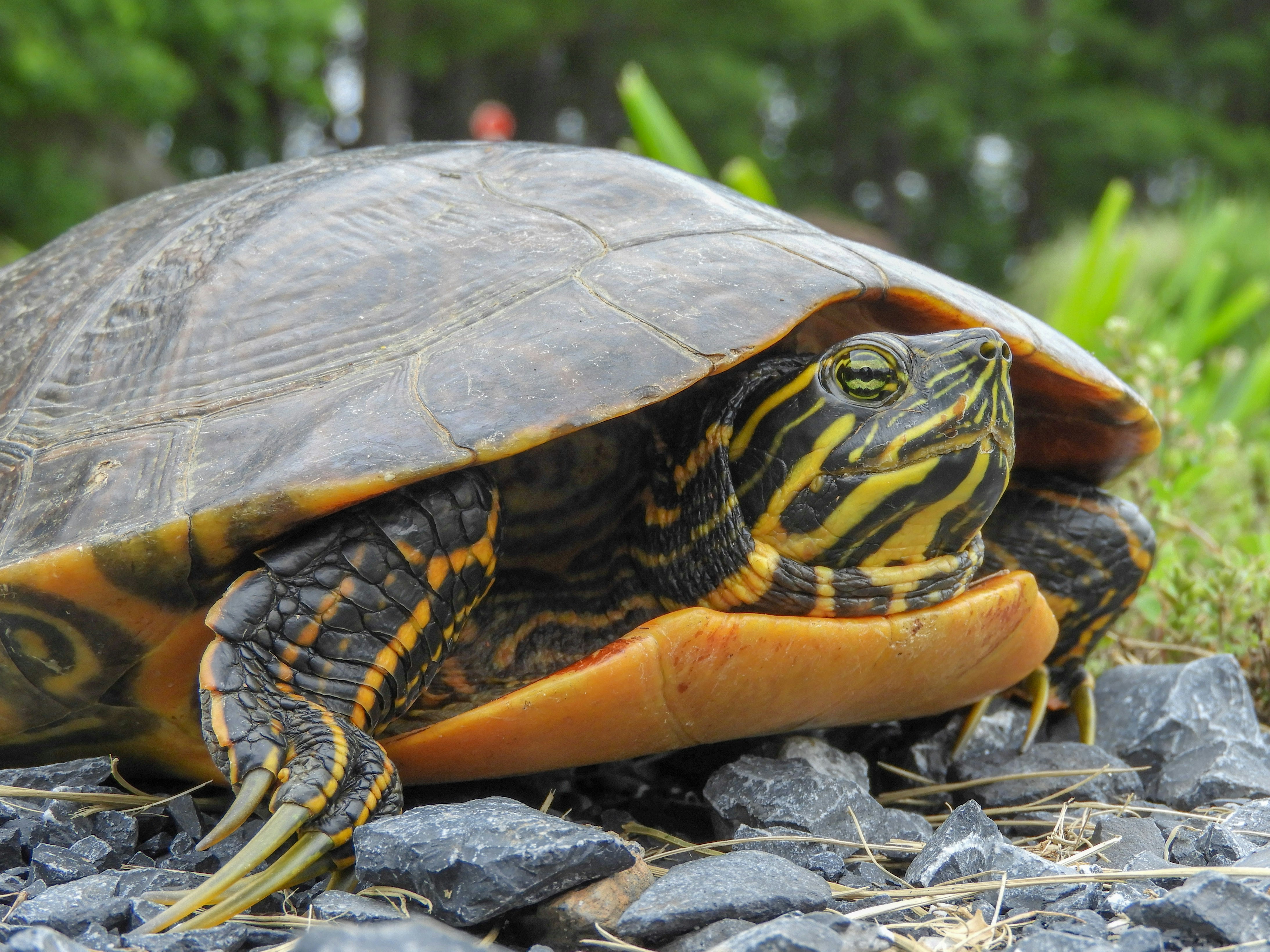 Photo by peterjmarshall