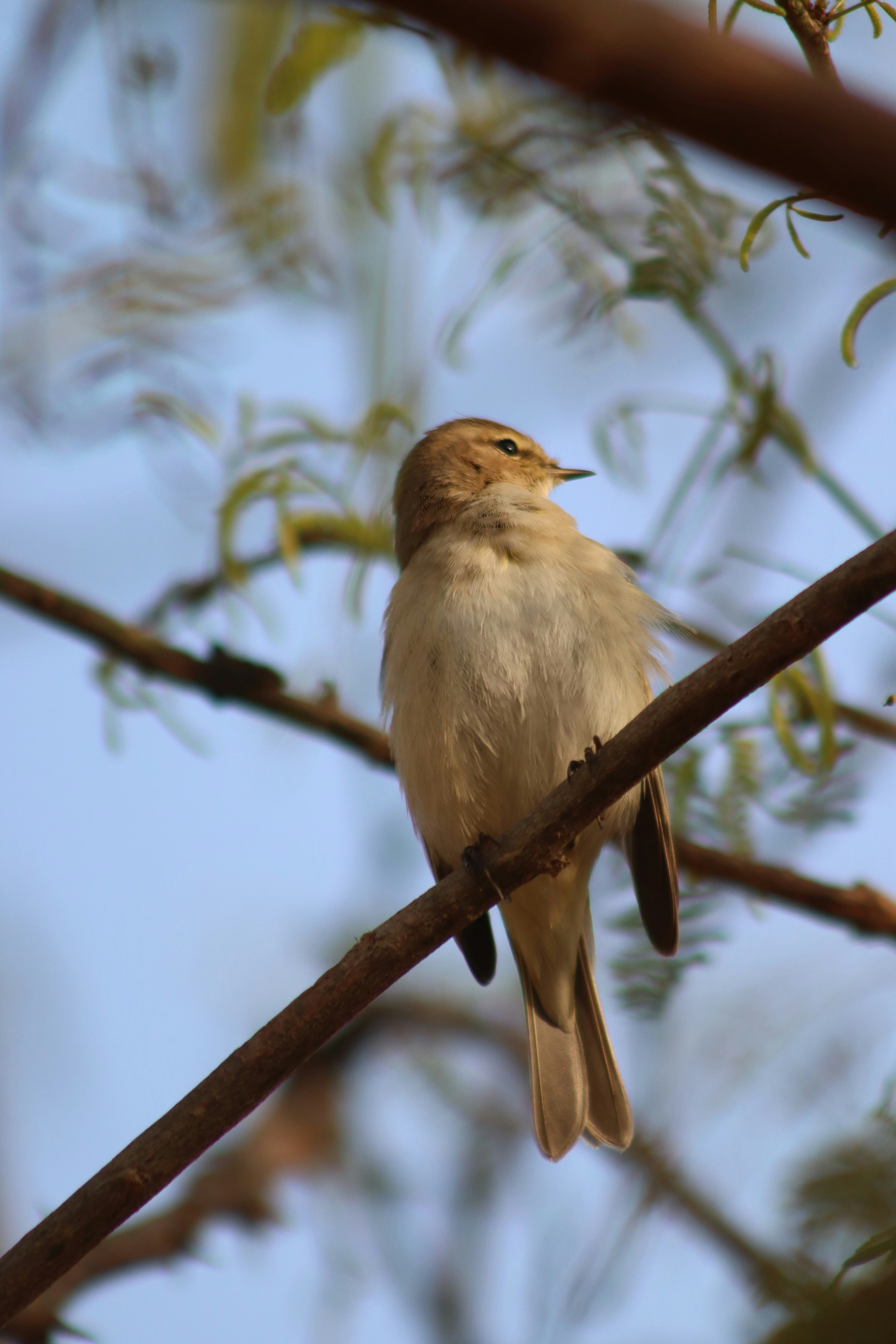 Photo by drphotographer152