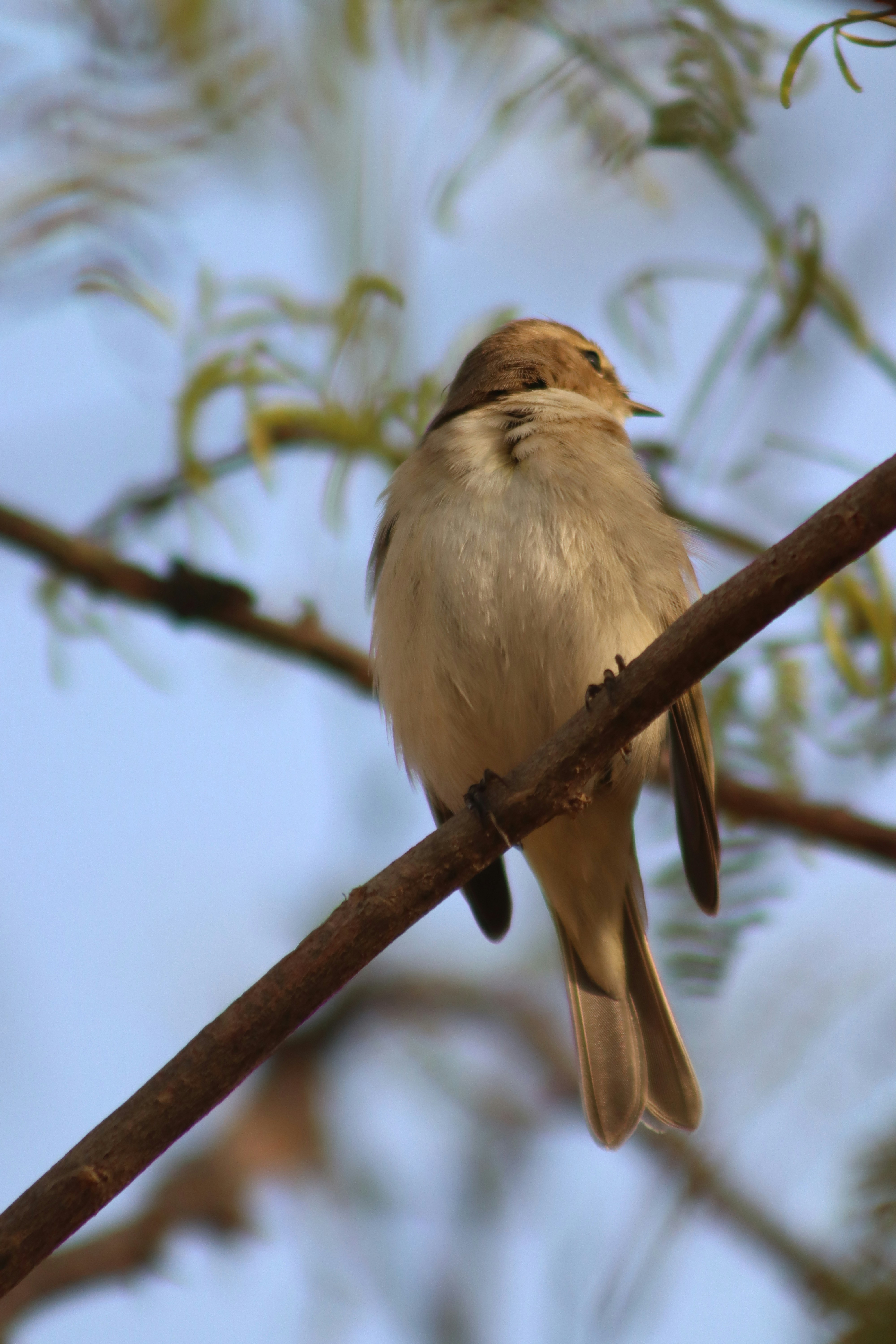 Photo by drphotographer152