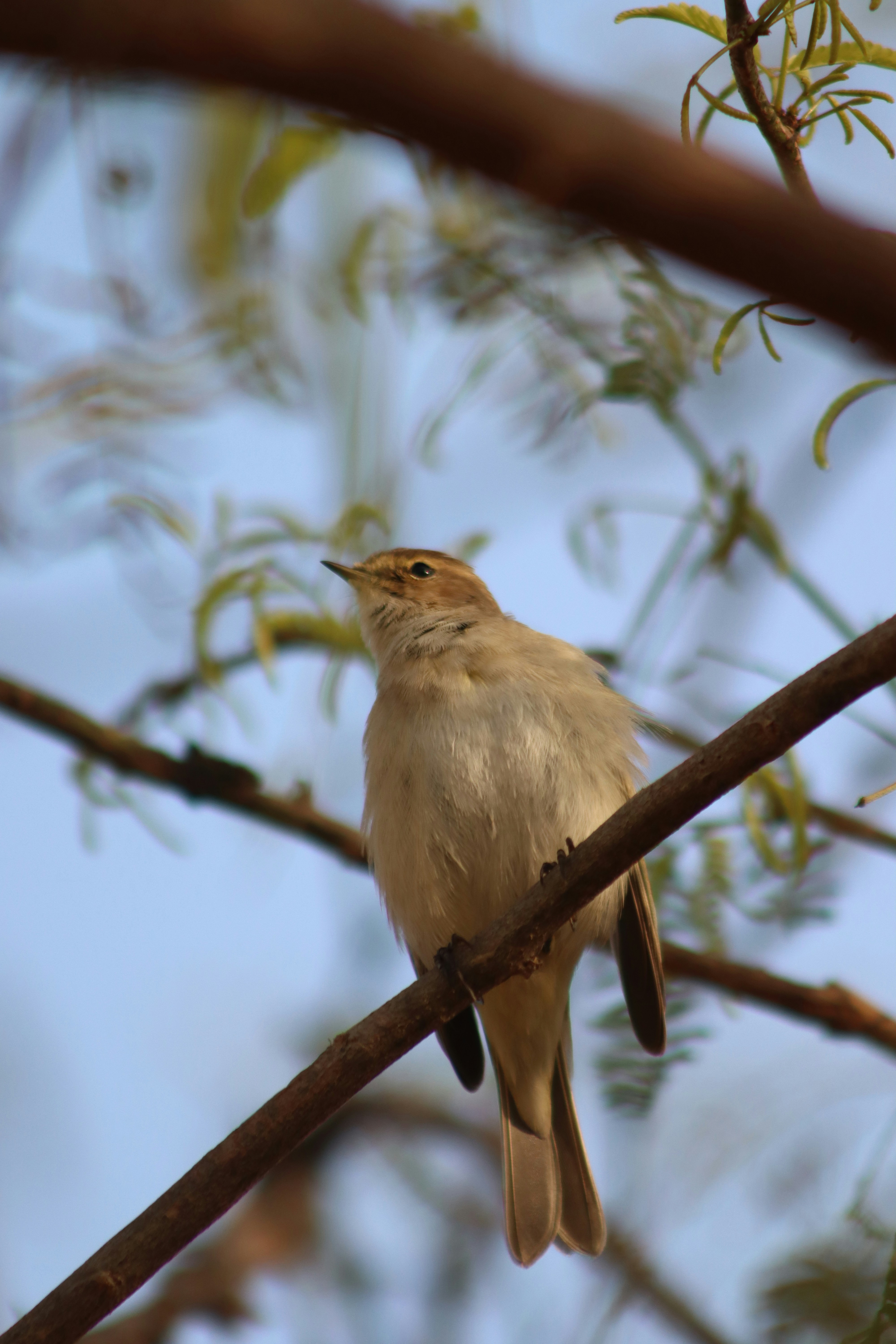 Photo by drphotographer152