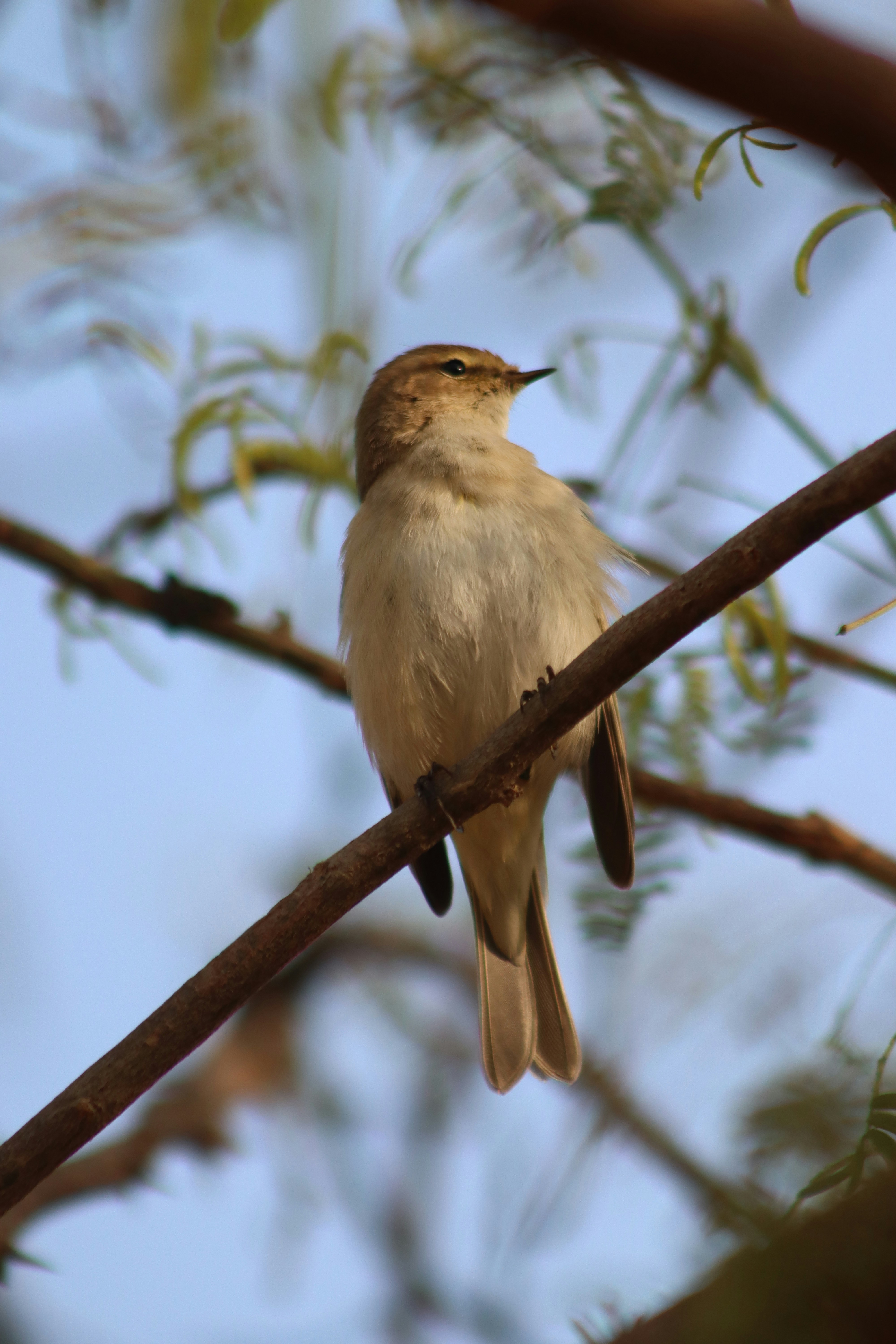 Photo by drphotographer152