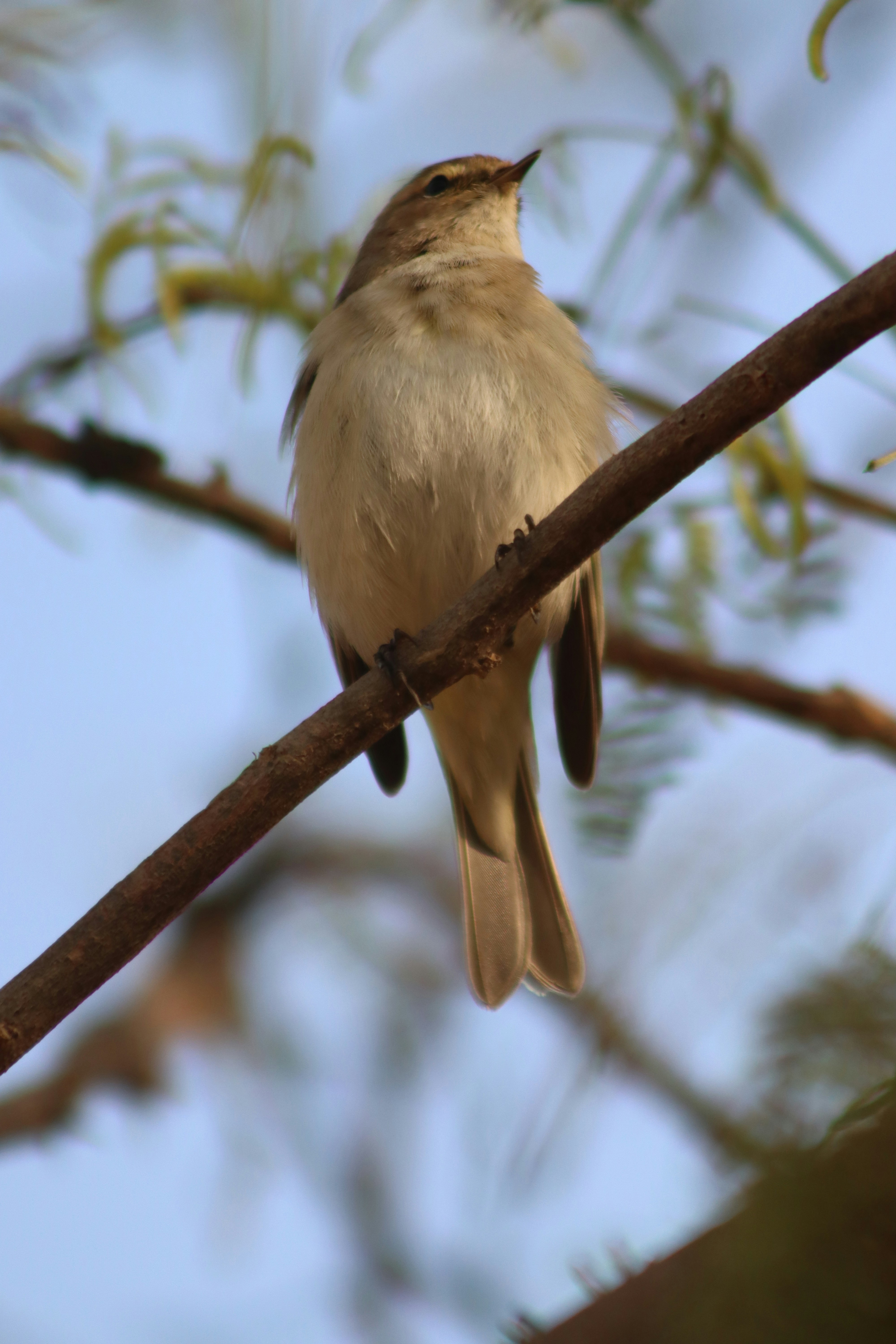 Photo by drphotographer152