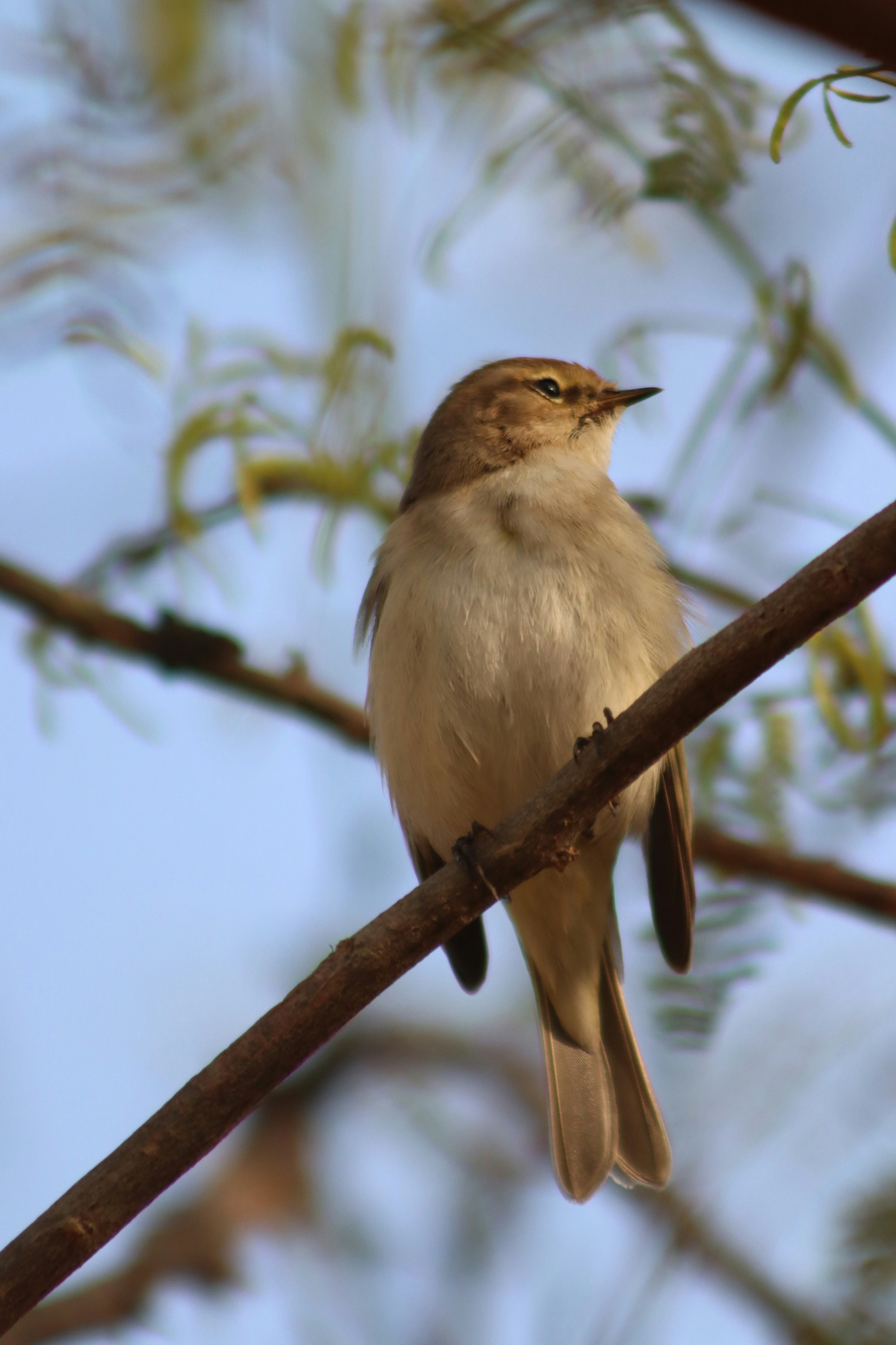 Photo by drphotographer152