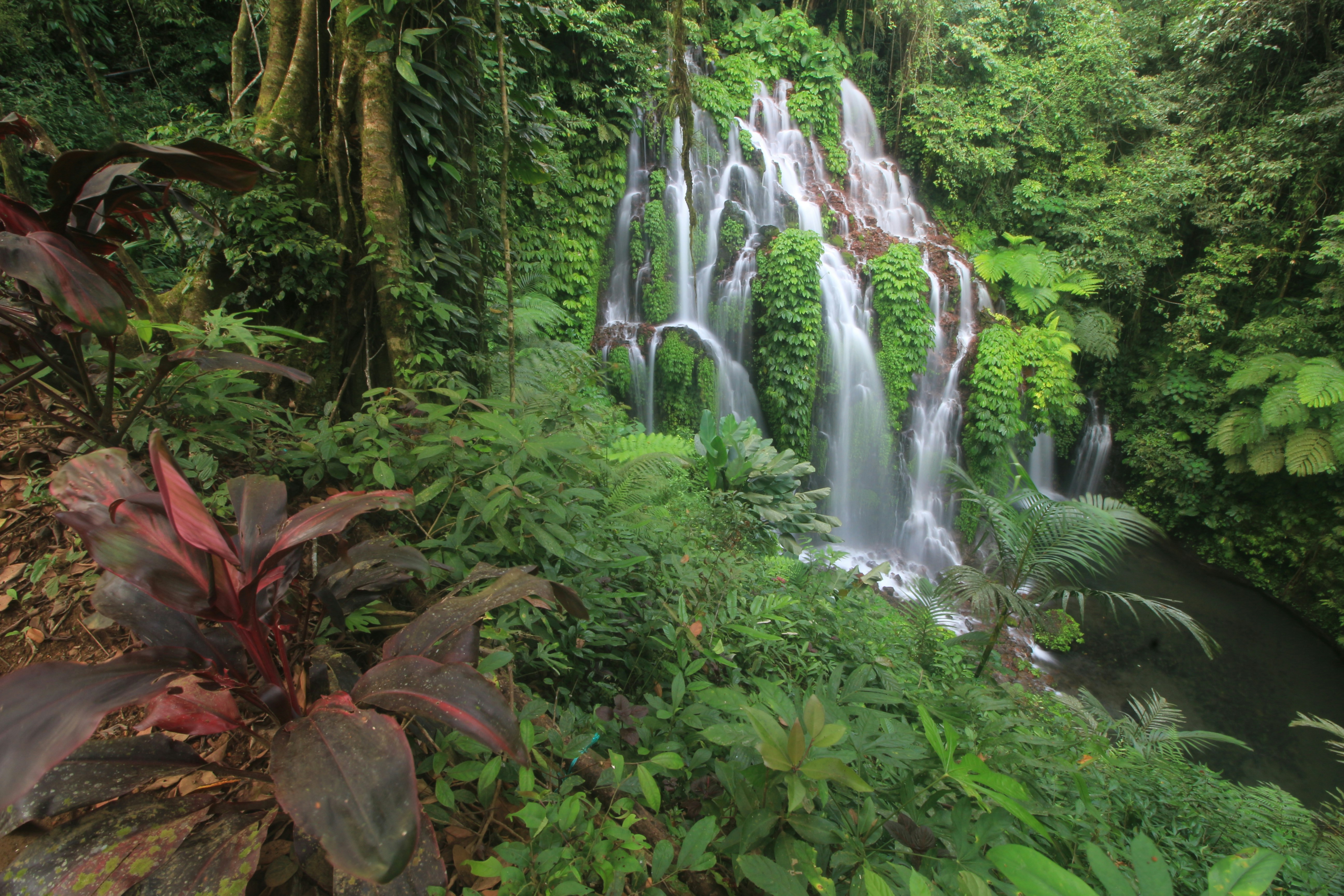 Photo by yandeardana