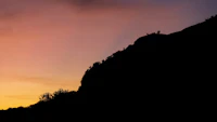 Best Free Things to Do in Bhandardara That Cost Absolutely Nothing