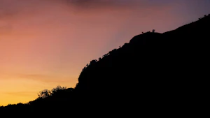 Bhandardara