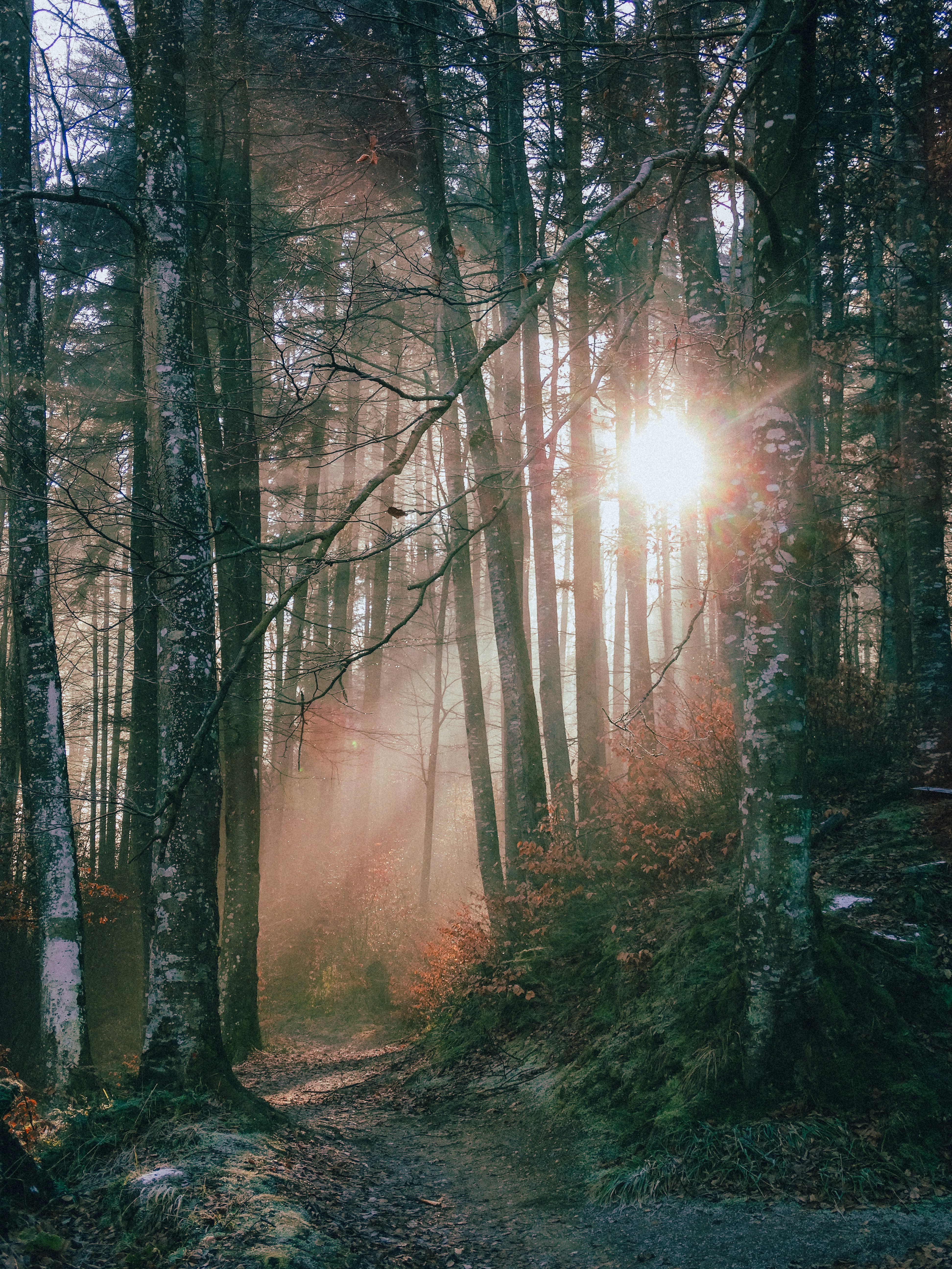 Photo by crinaparasca