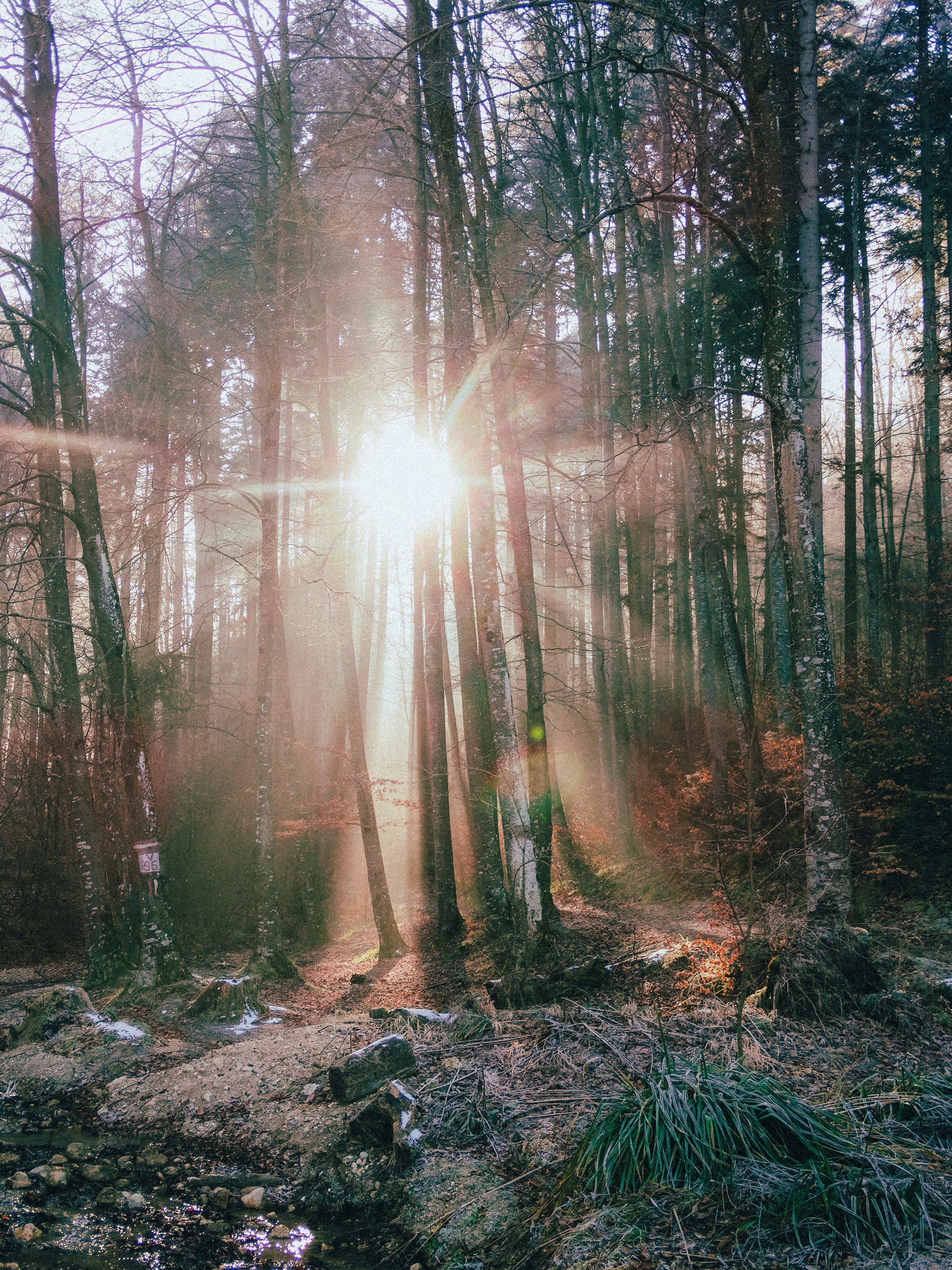 Photo by crinaparasca