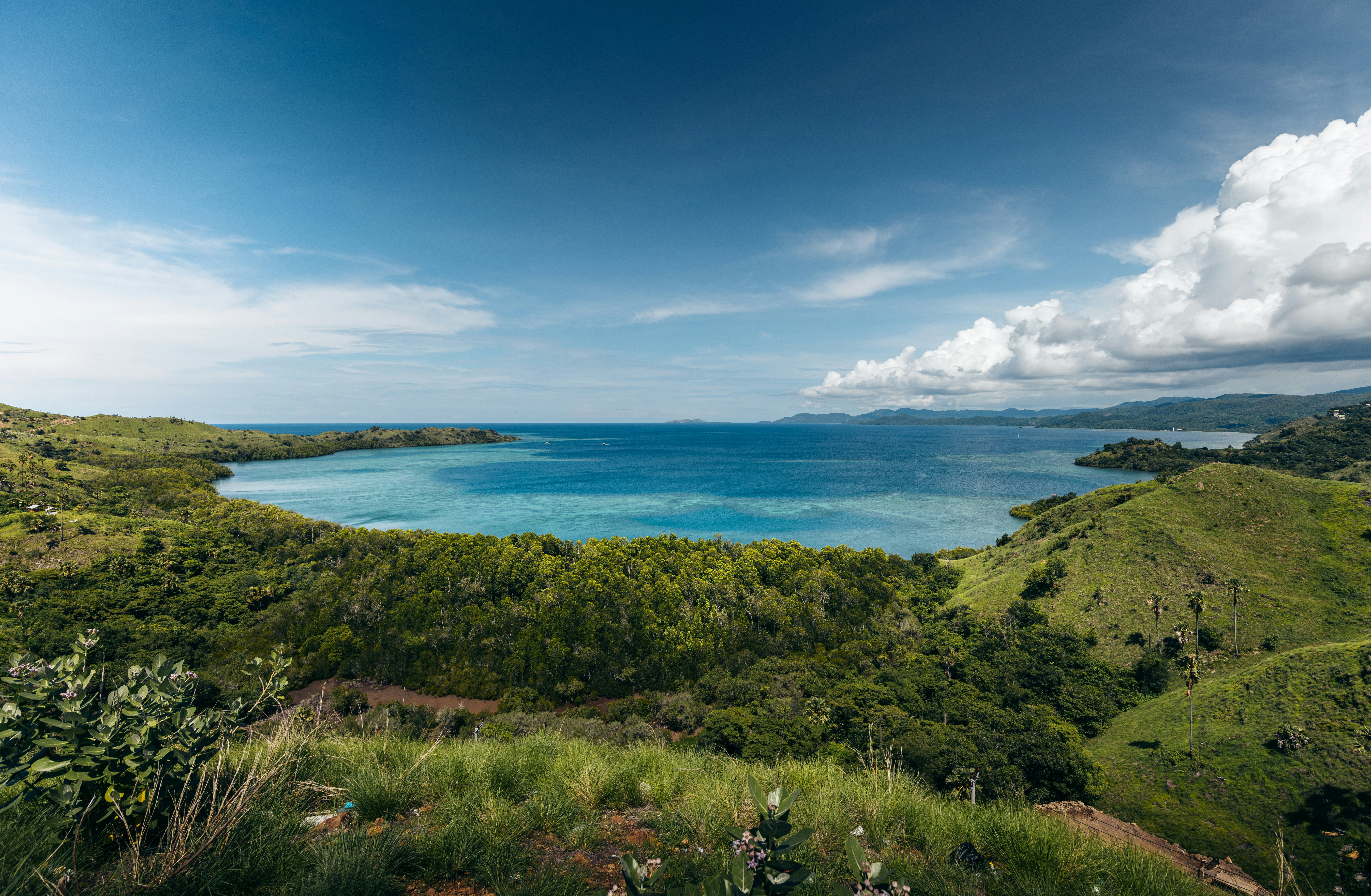 Photo by springsimon