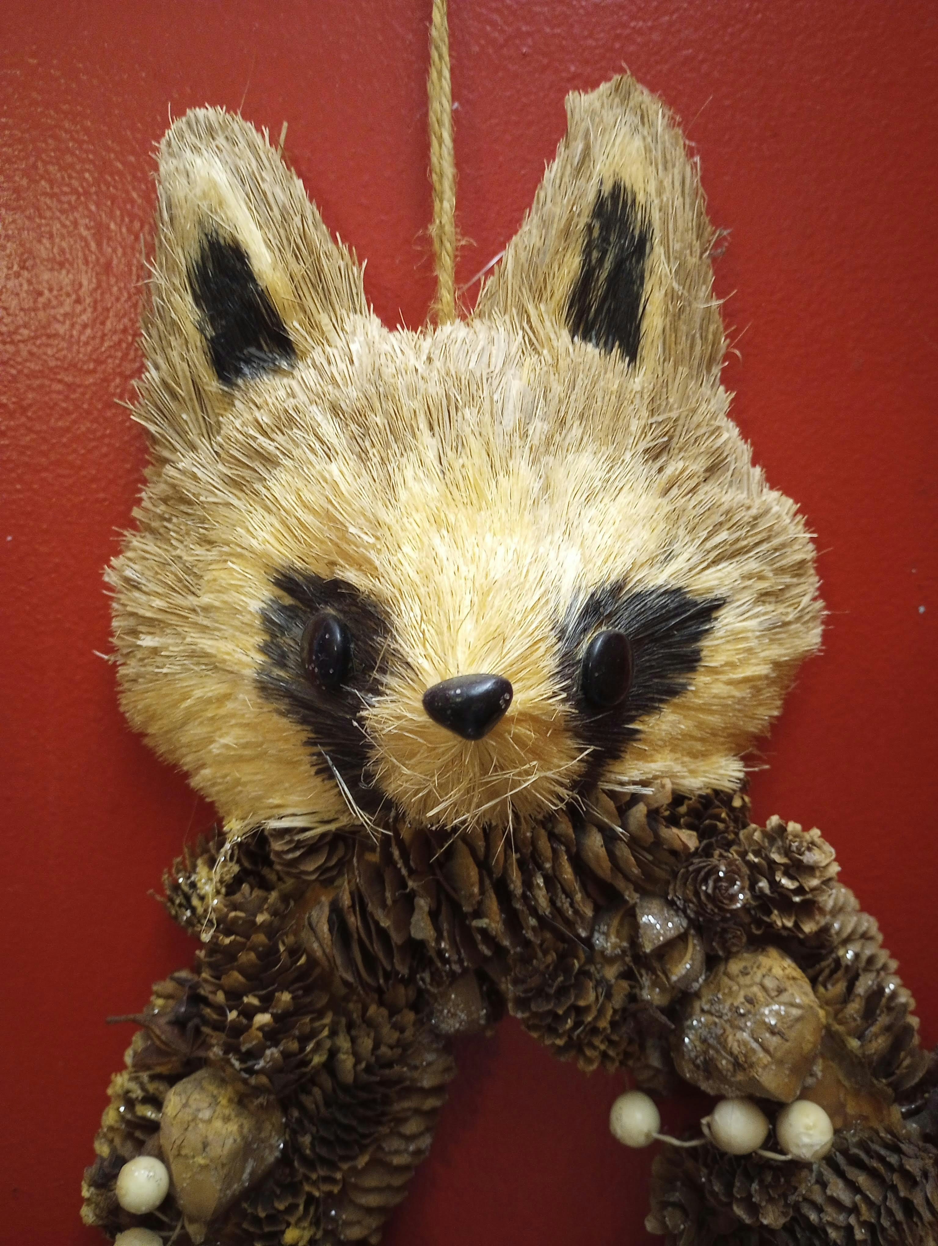 A stuffed raccoon hanging on a red wall