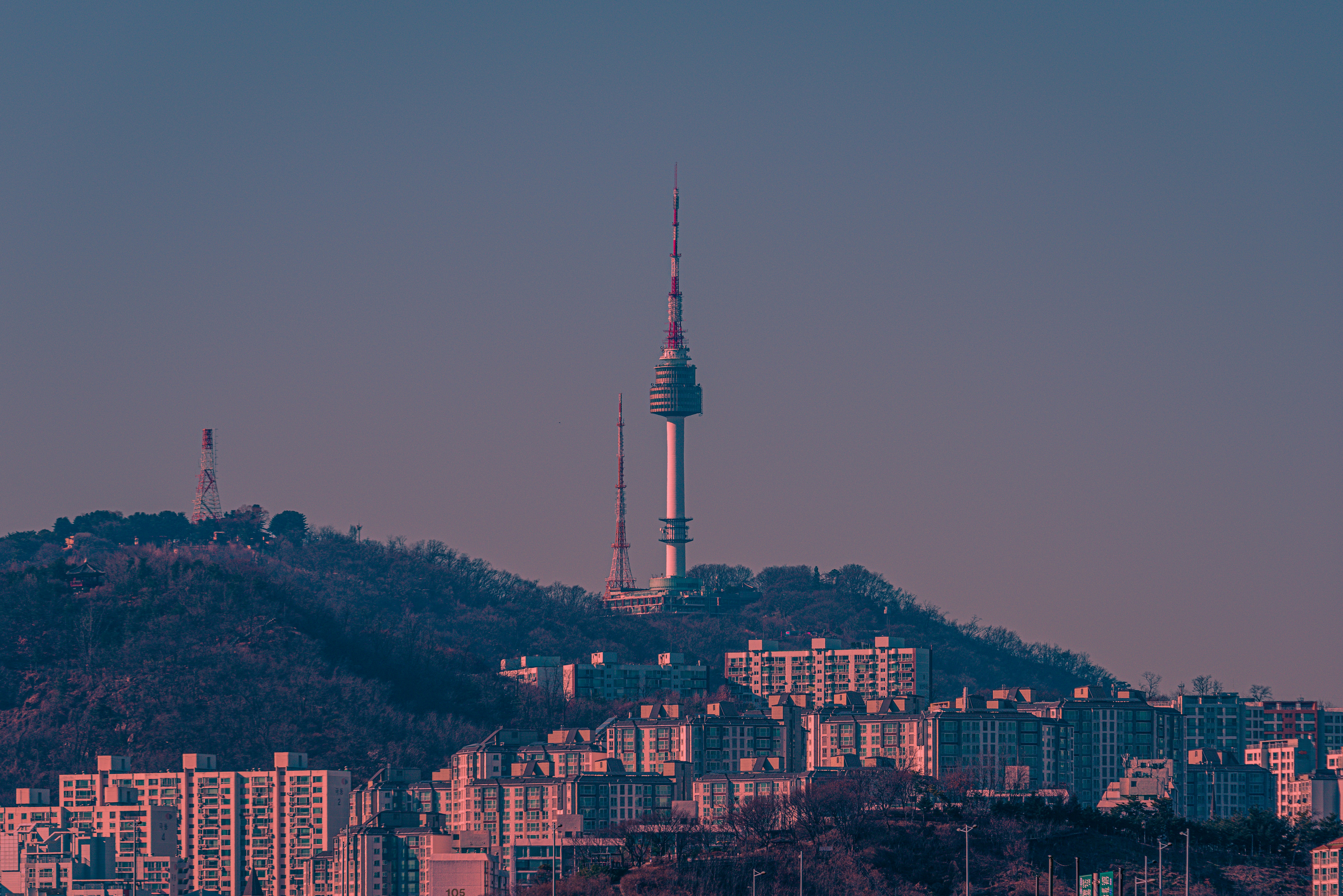 photo-1736000351080-5cb76359f7be?ixid=M3