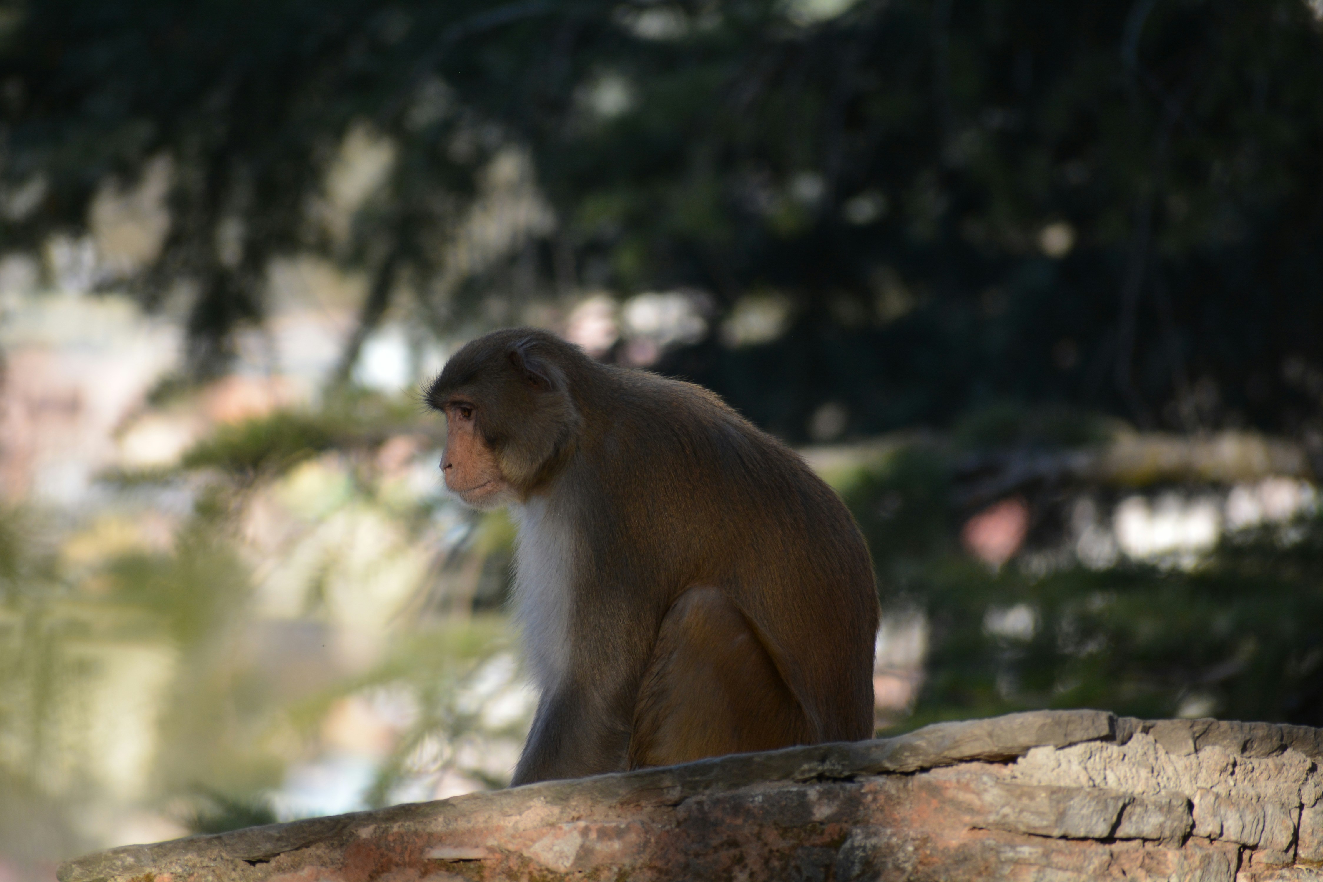 Photo by shadowframesin