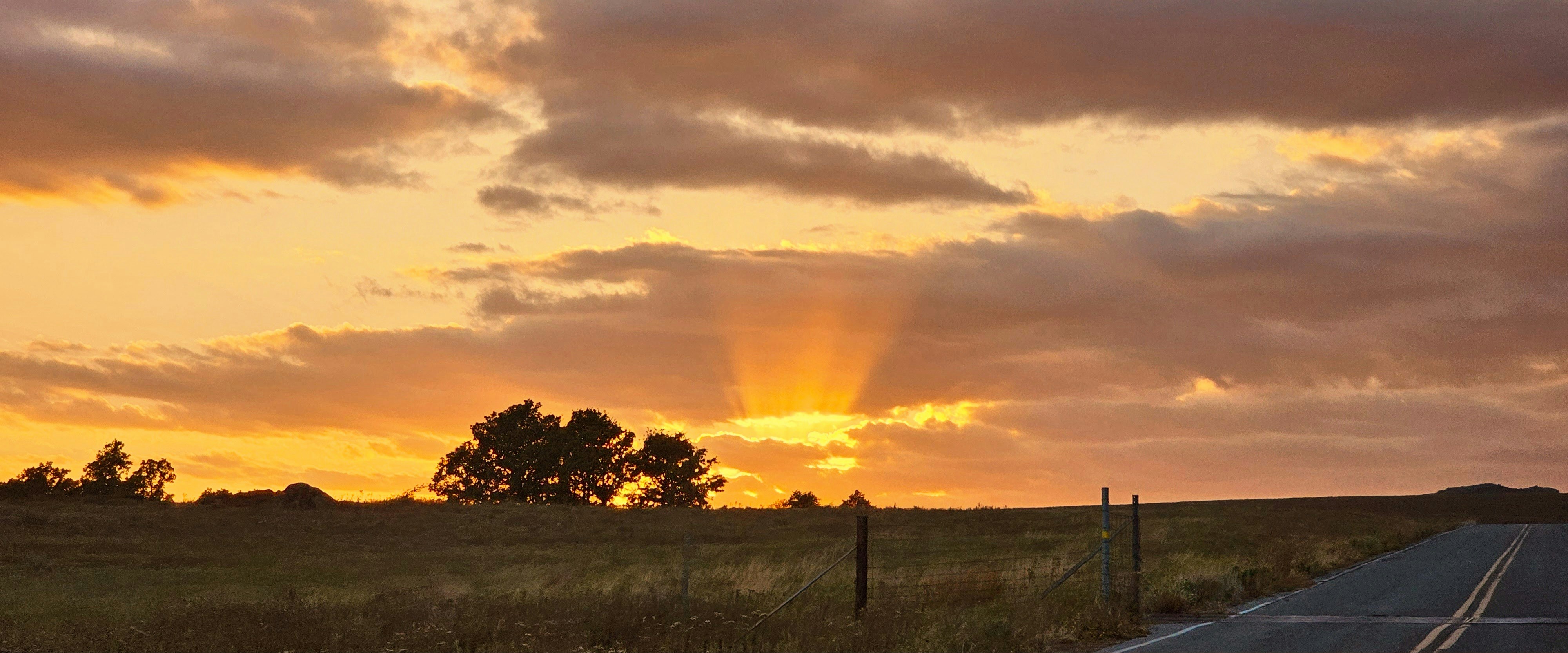 The sun is setting over a rural road