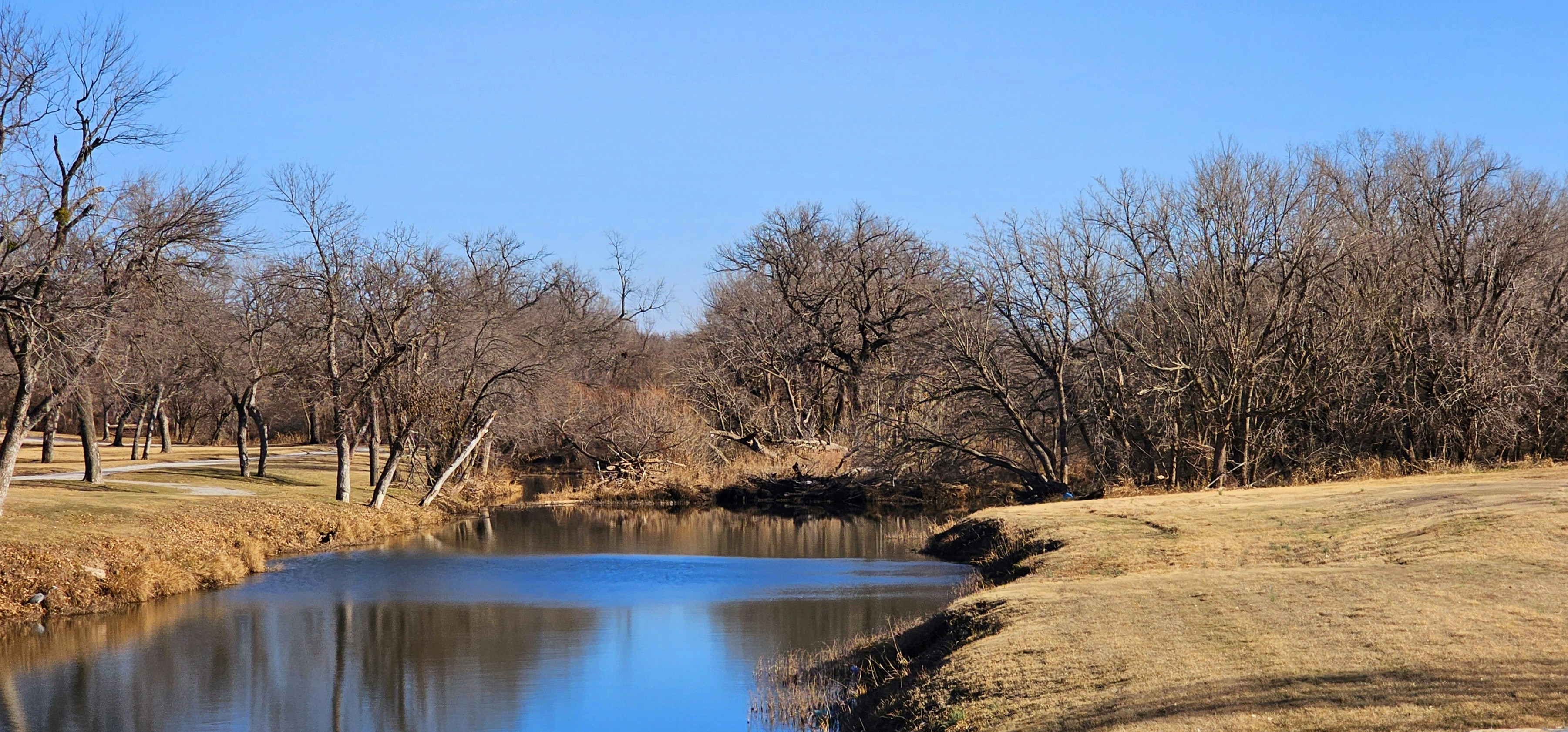 Photo by chillypepper24