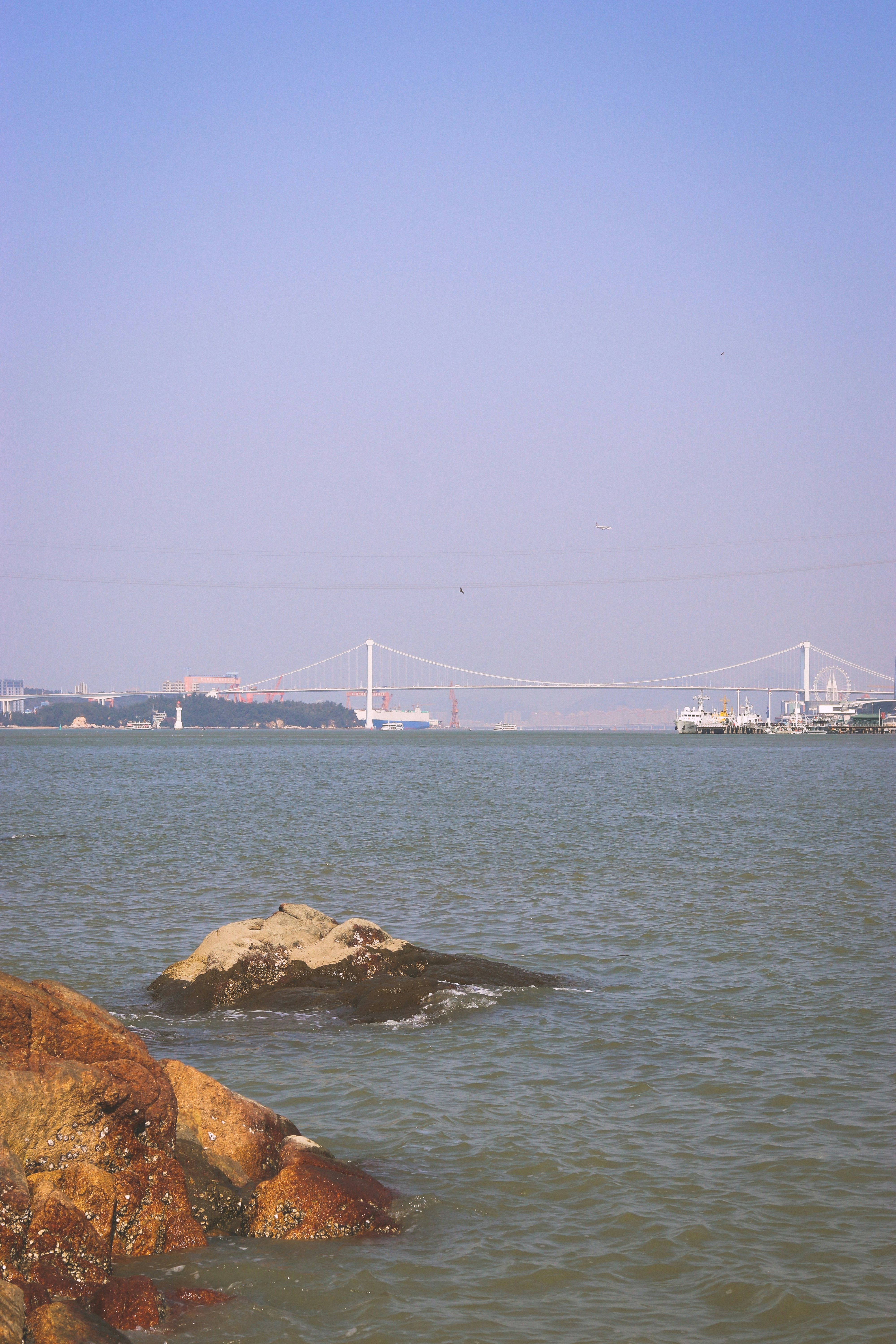 Photo by barrypotter