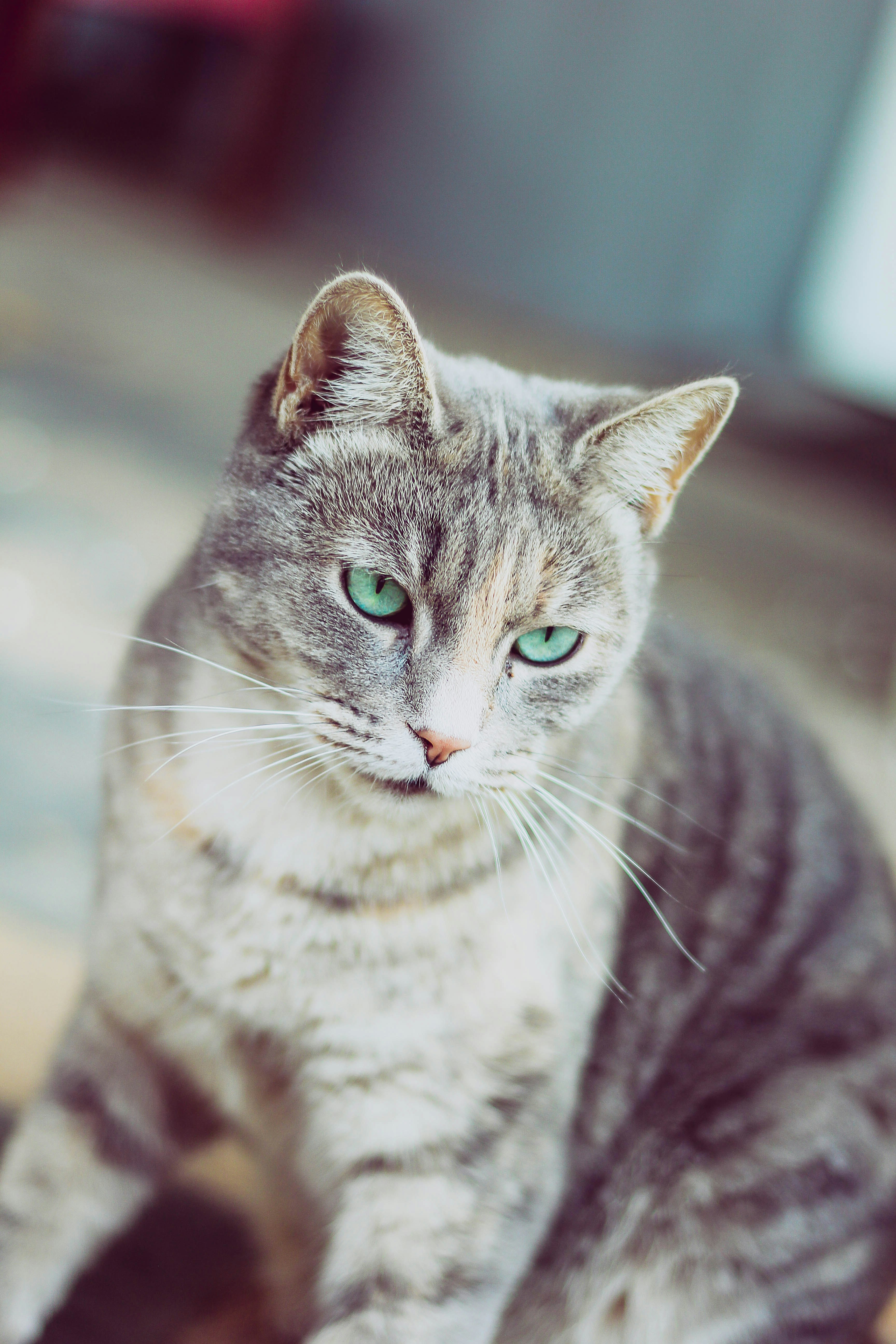 Photo by capturethatfeeling