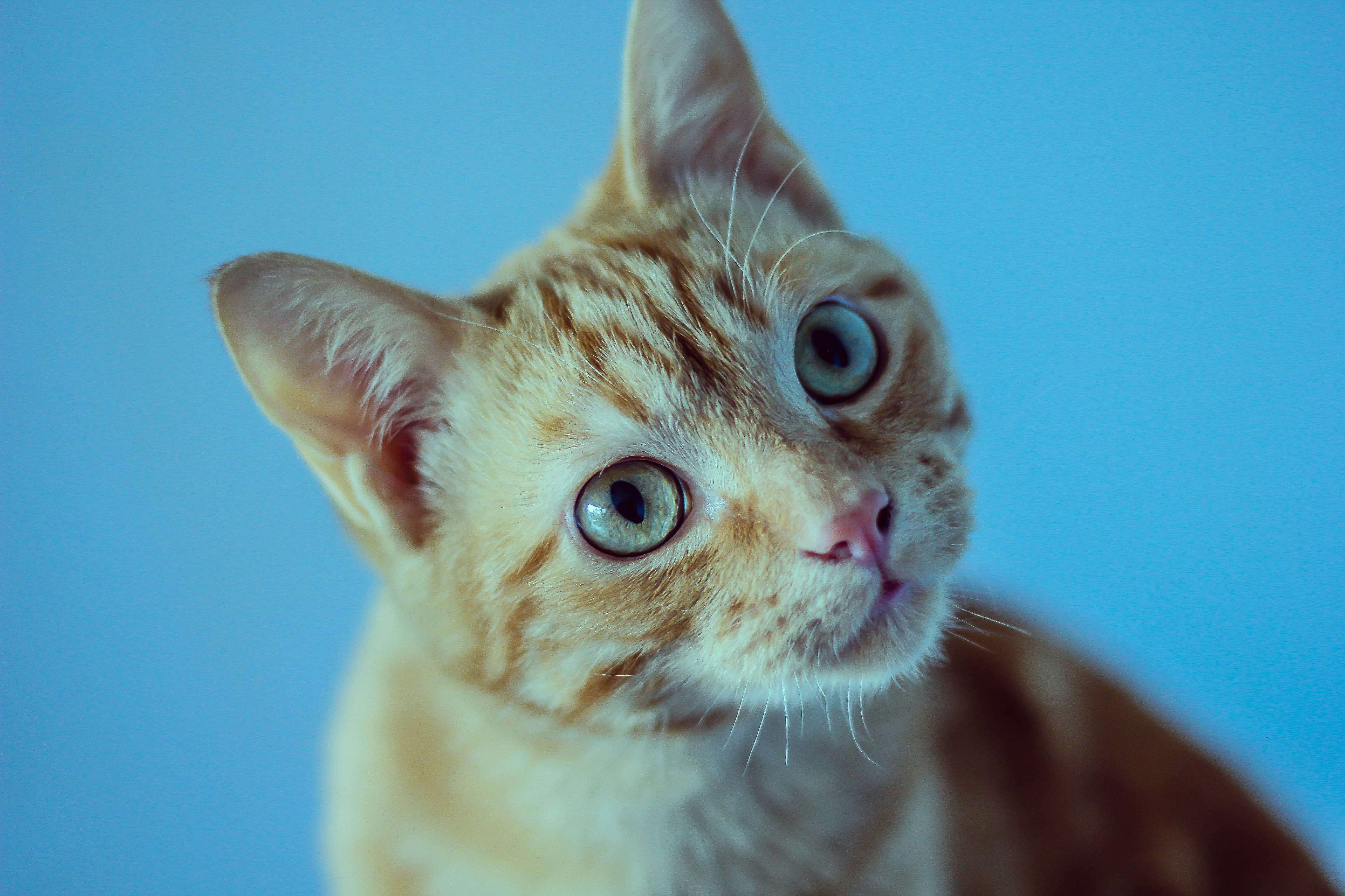 Photo by capturethatfeeling