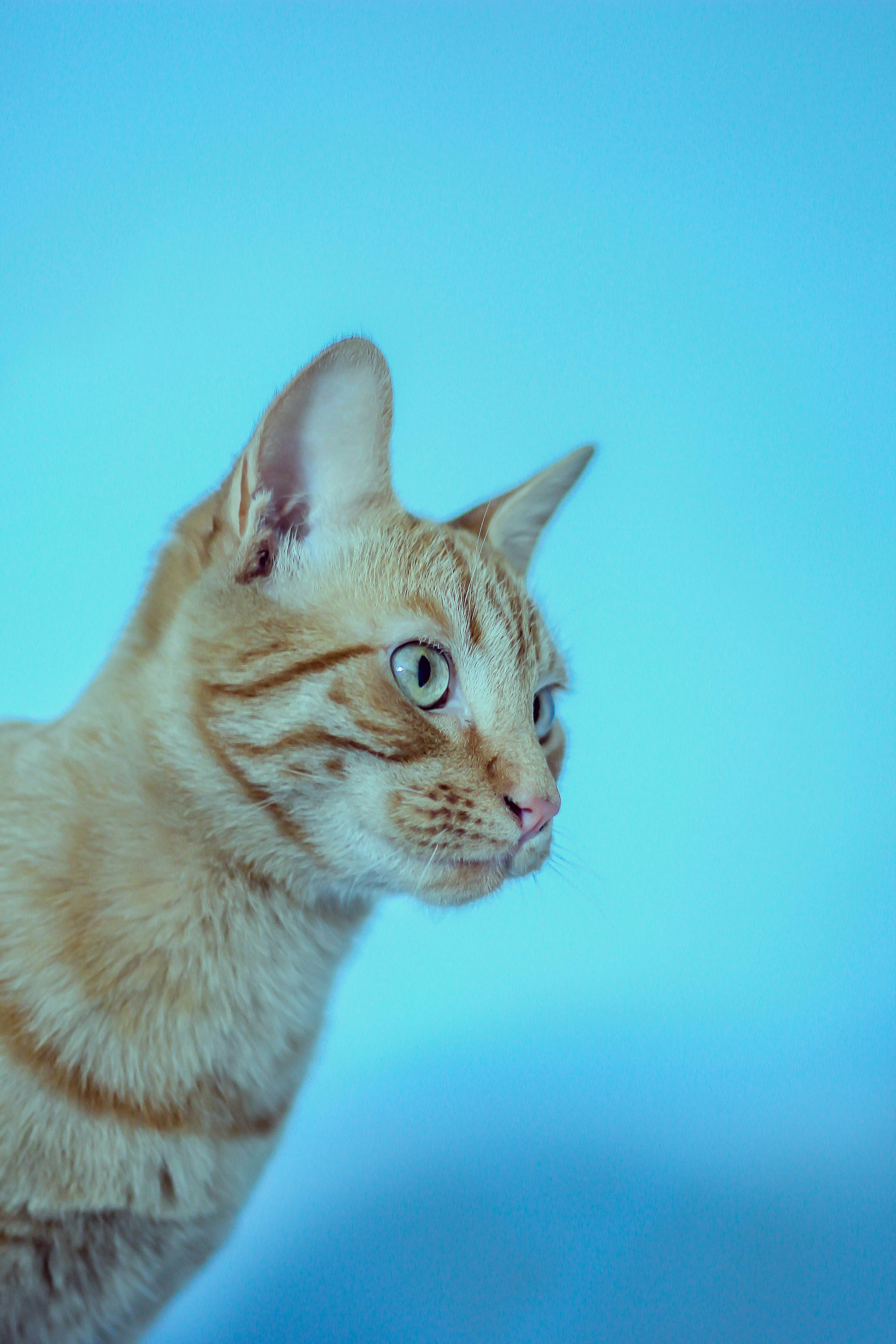 Photo by capturethatfeeling