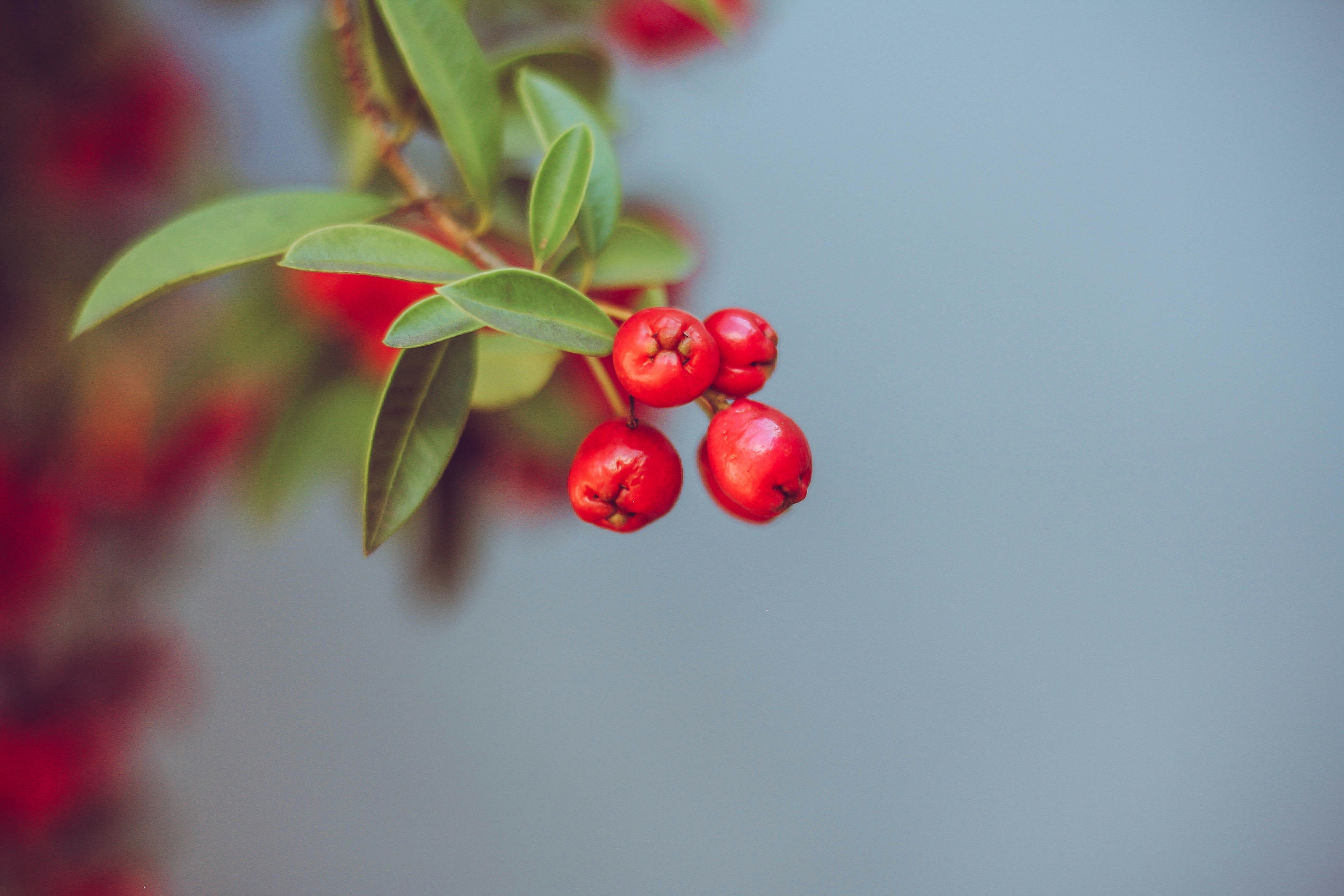 Photo by capturethatfeeling