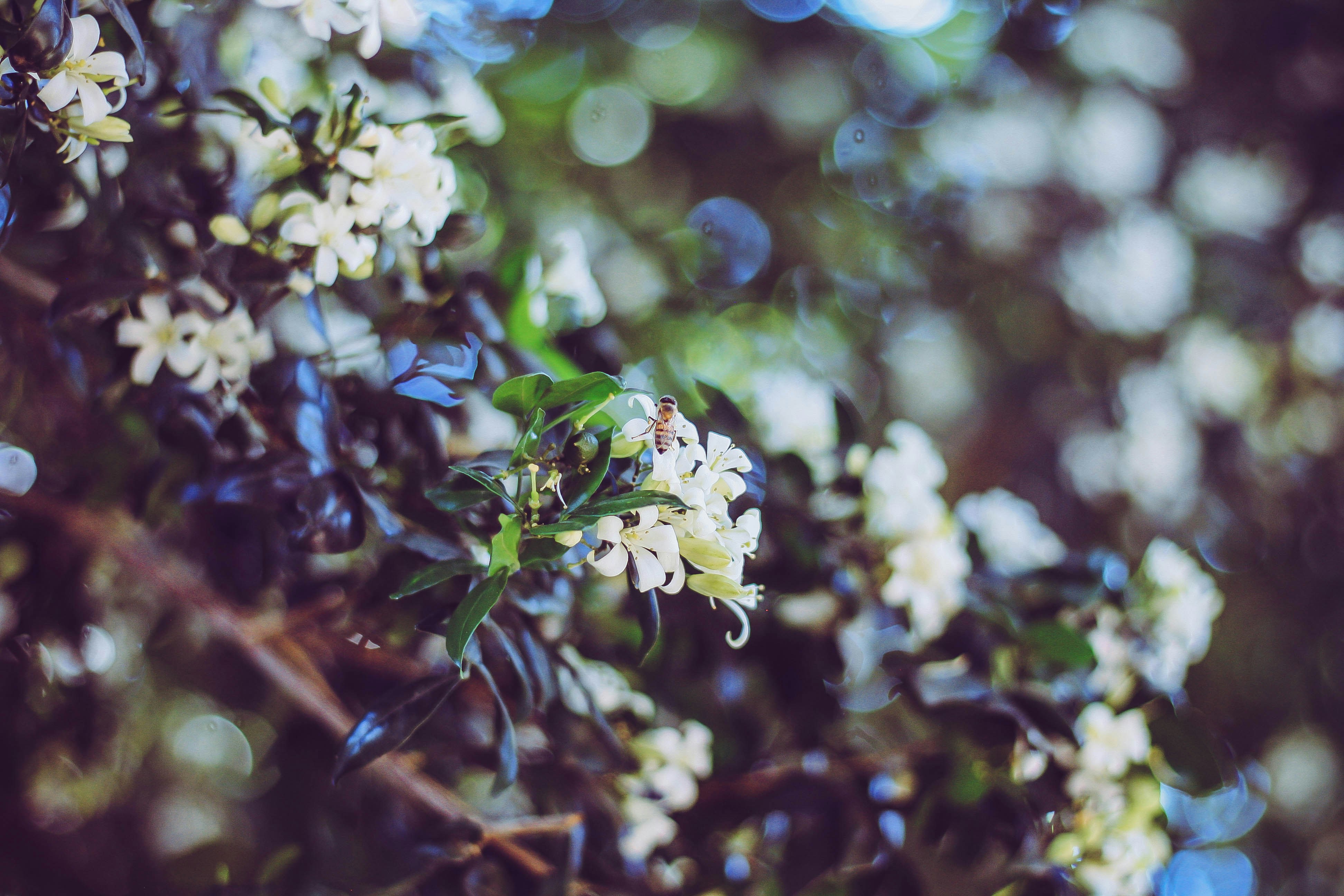 Photo by capturethatfeeling