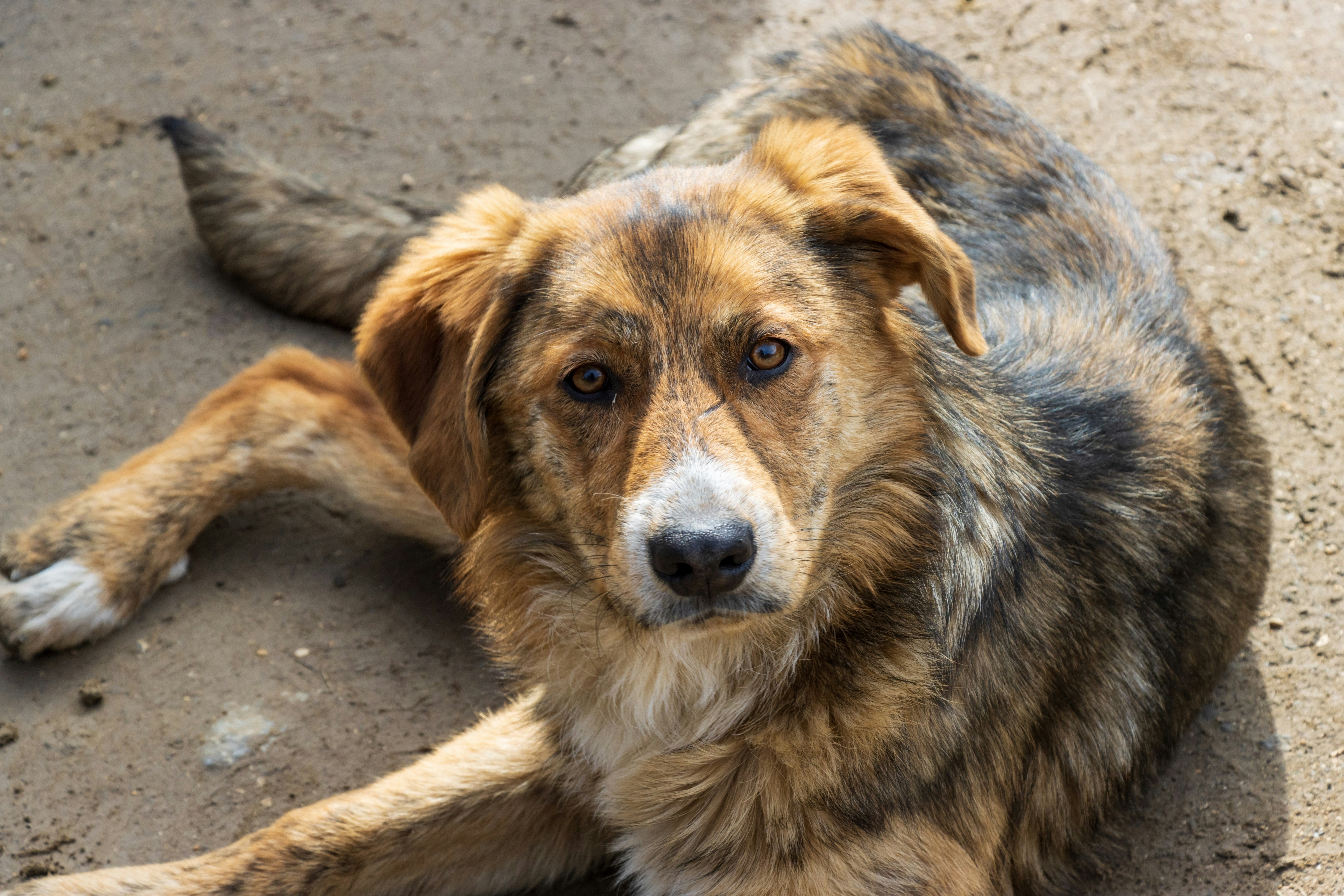 Photo by mechaowlstudios