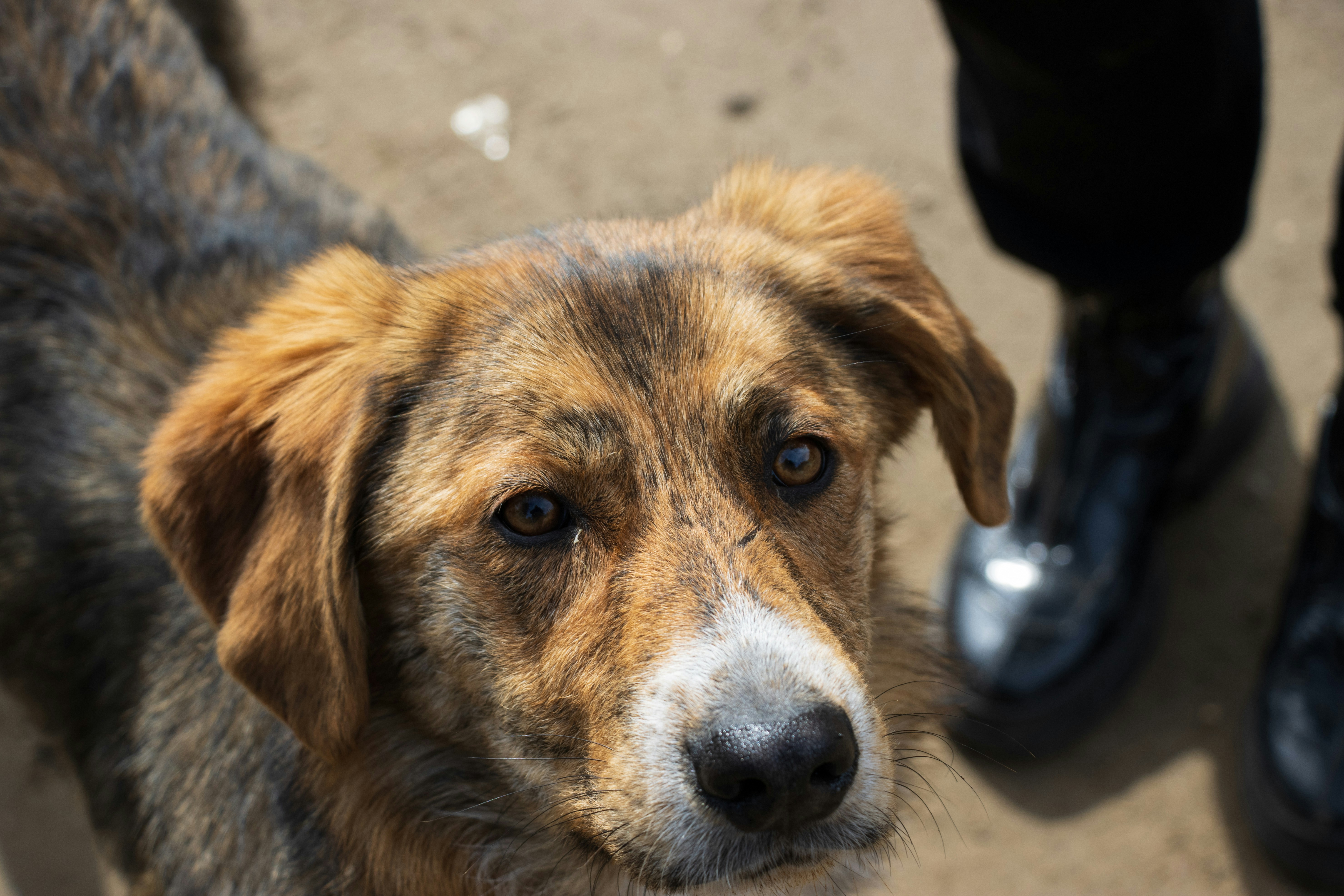 Photo by mechaowlstudios