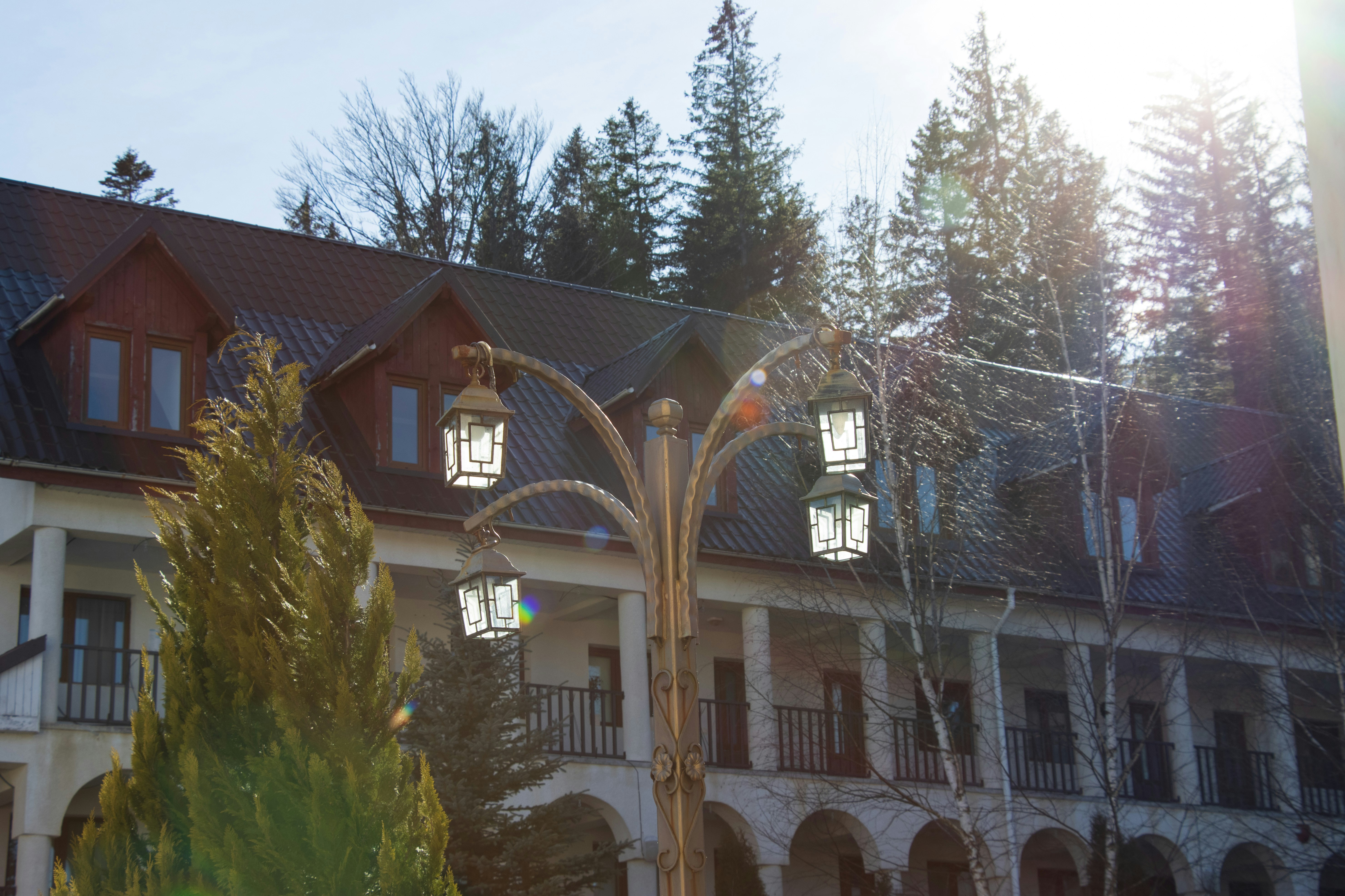 Photo by mechaowlstudios