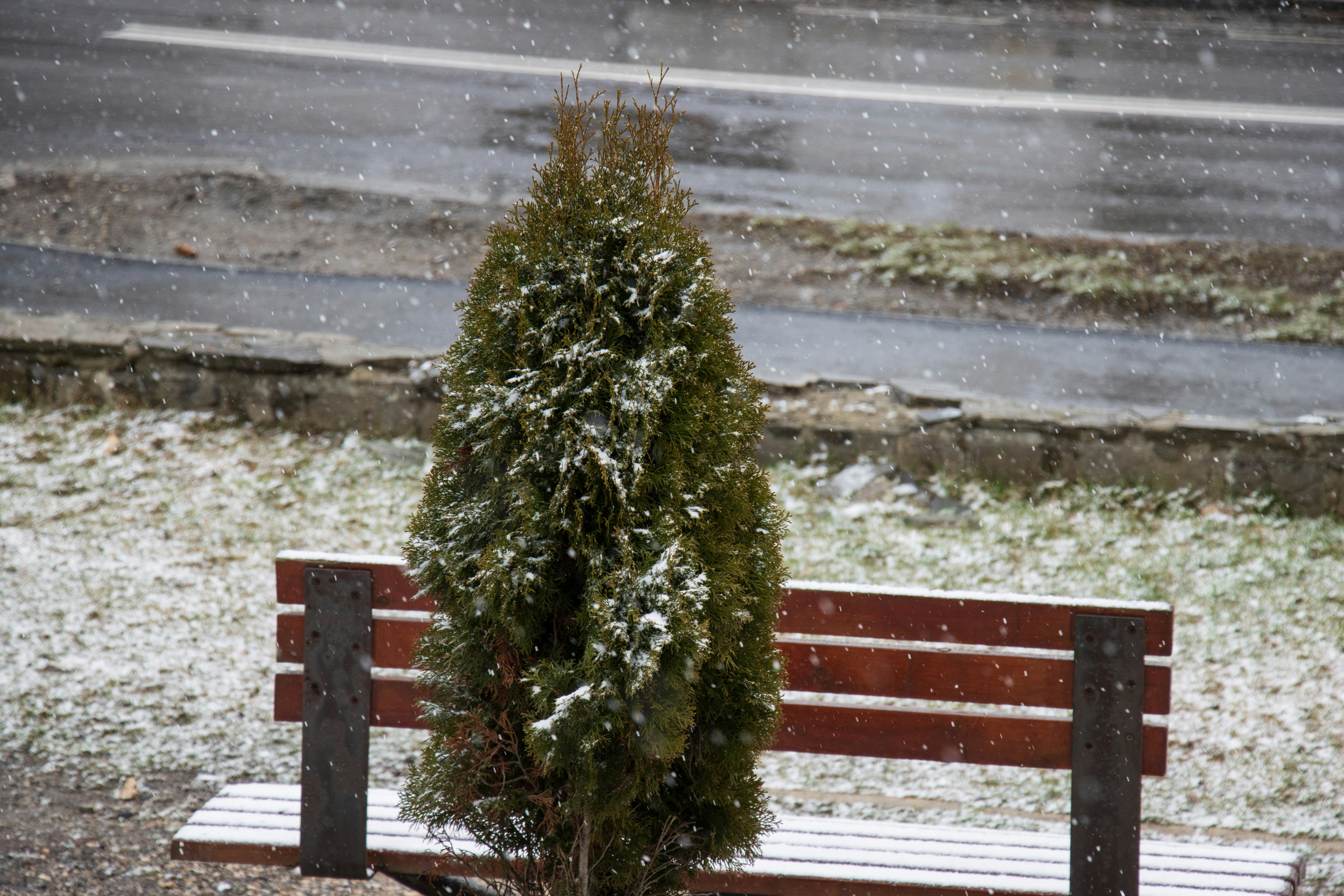 A park bench covered in snow next to a street