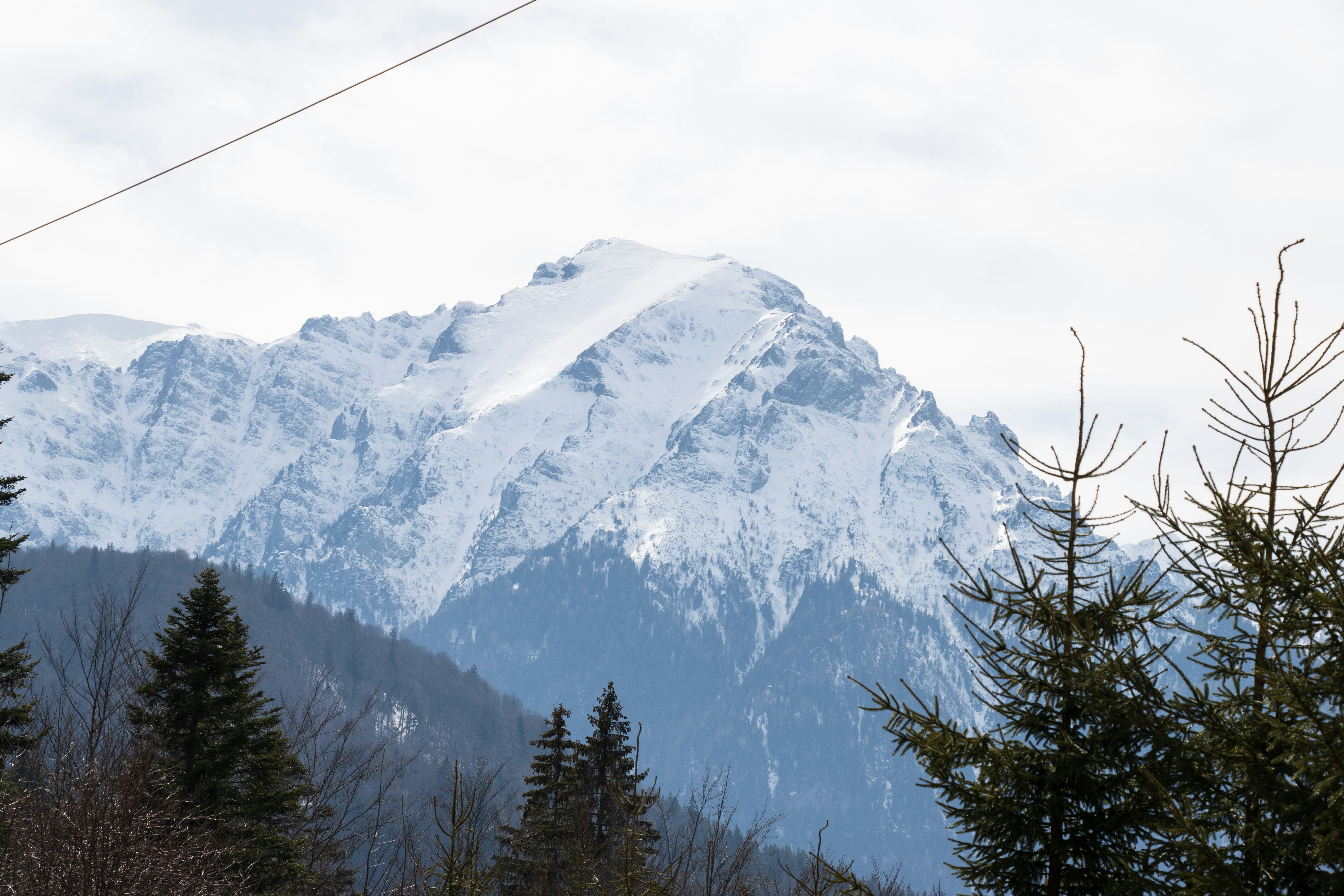 Photo by mechaowlstudios