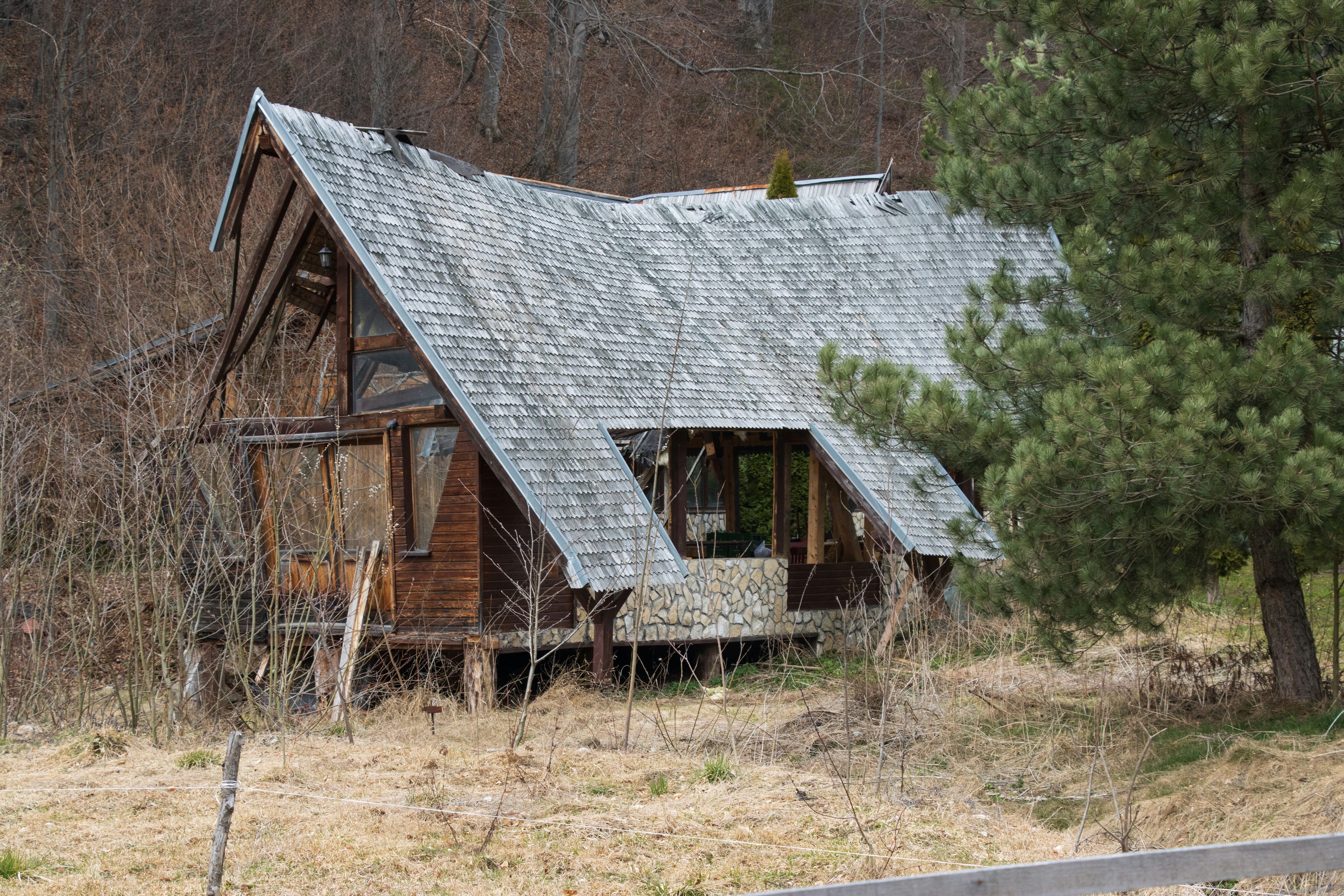 Photo by mechaowlstudios