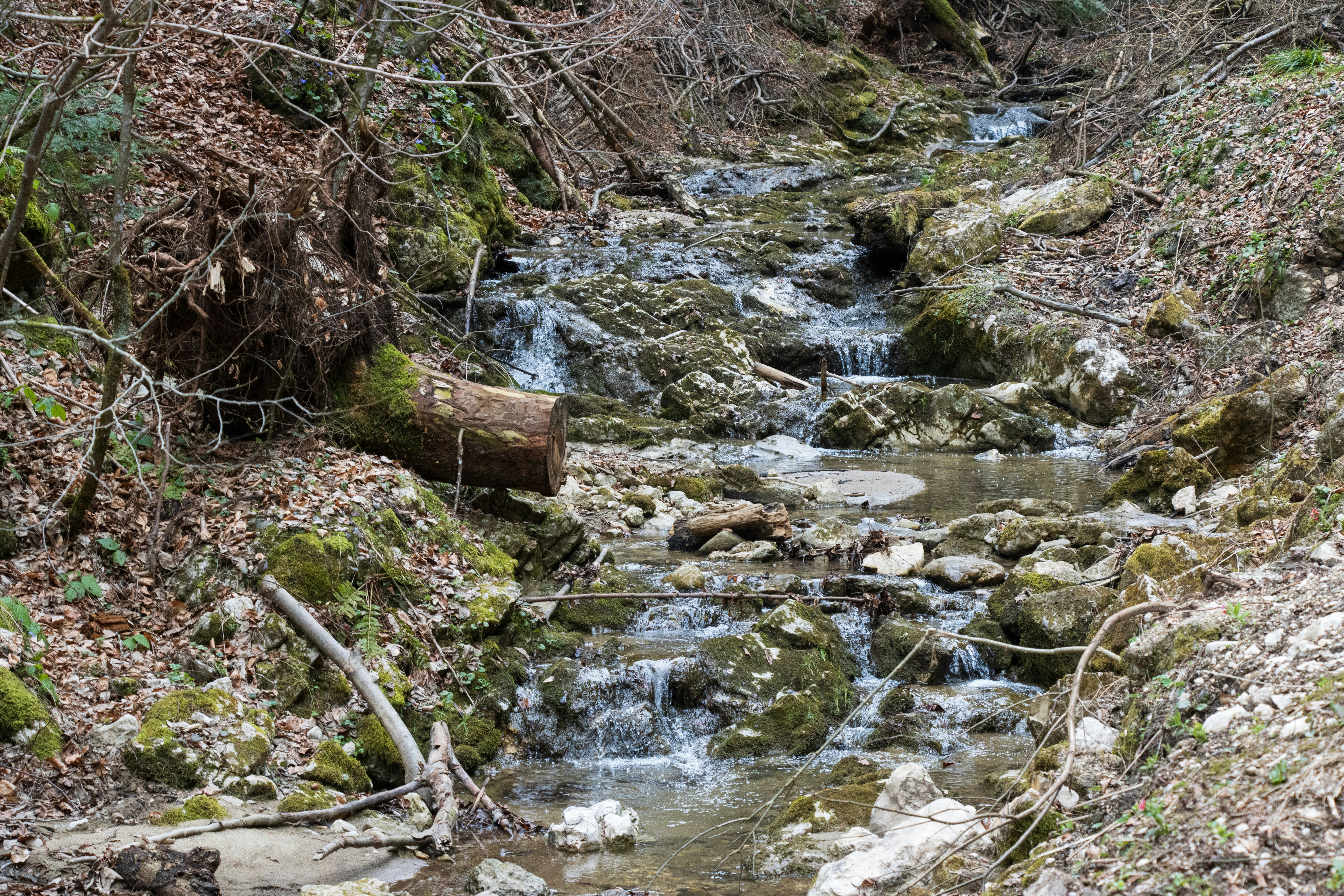 Photo by mechaowlstudios