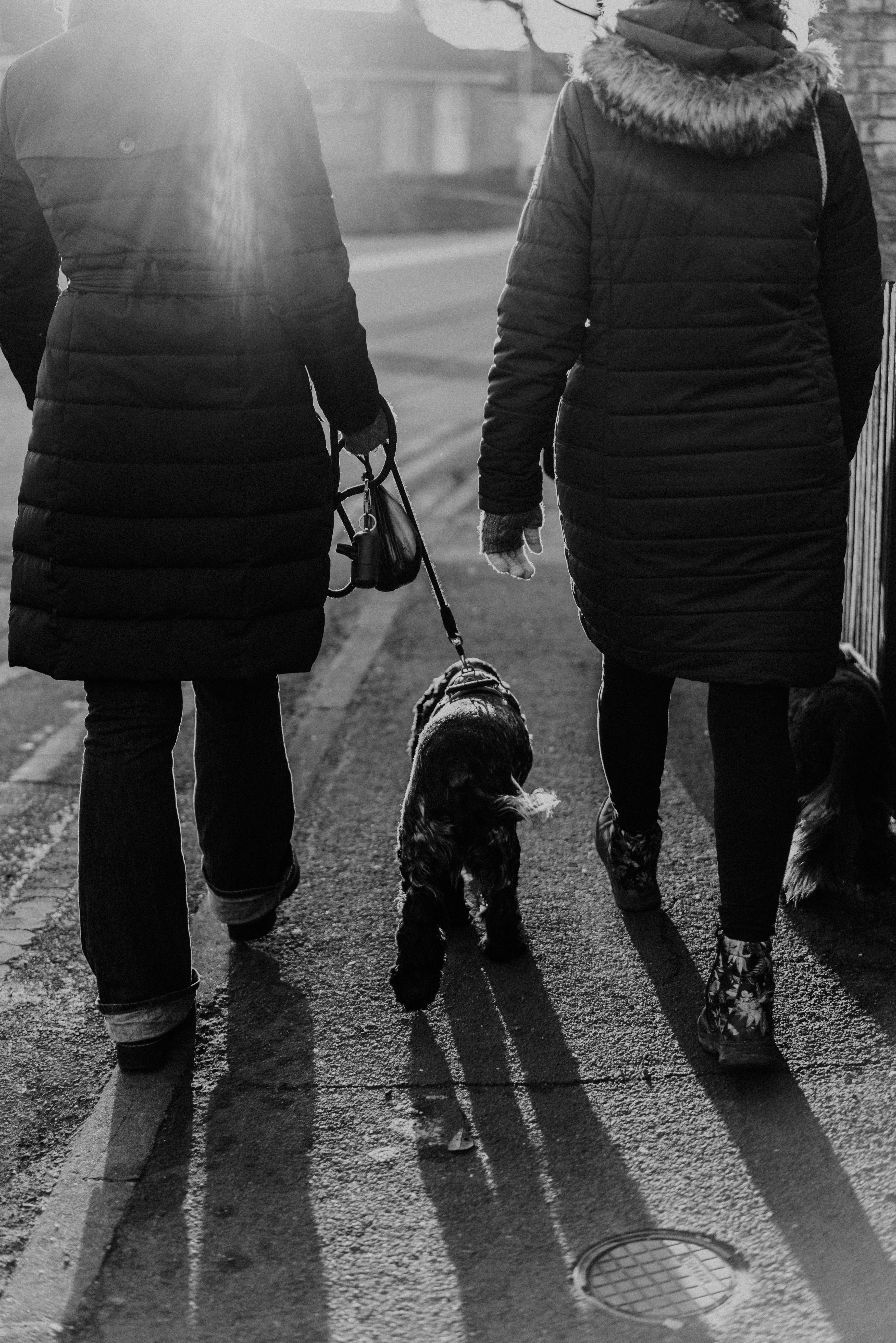 A couple of people walking a dog down a street