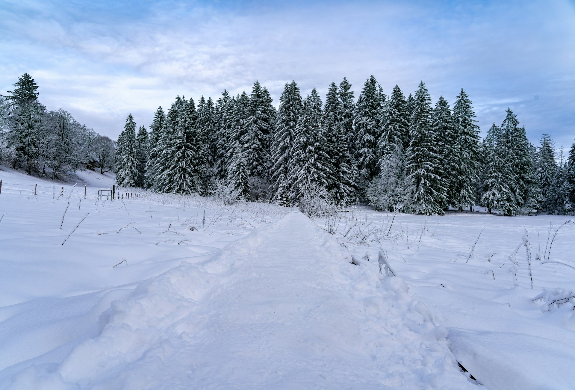 A snow covered field with trees in the background