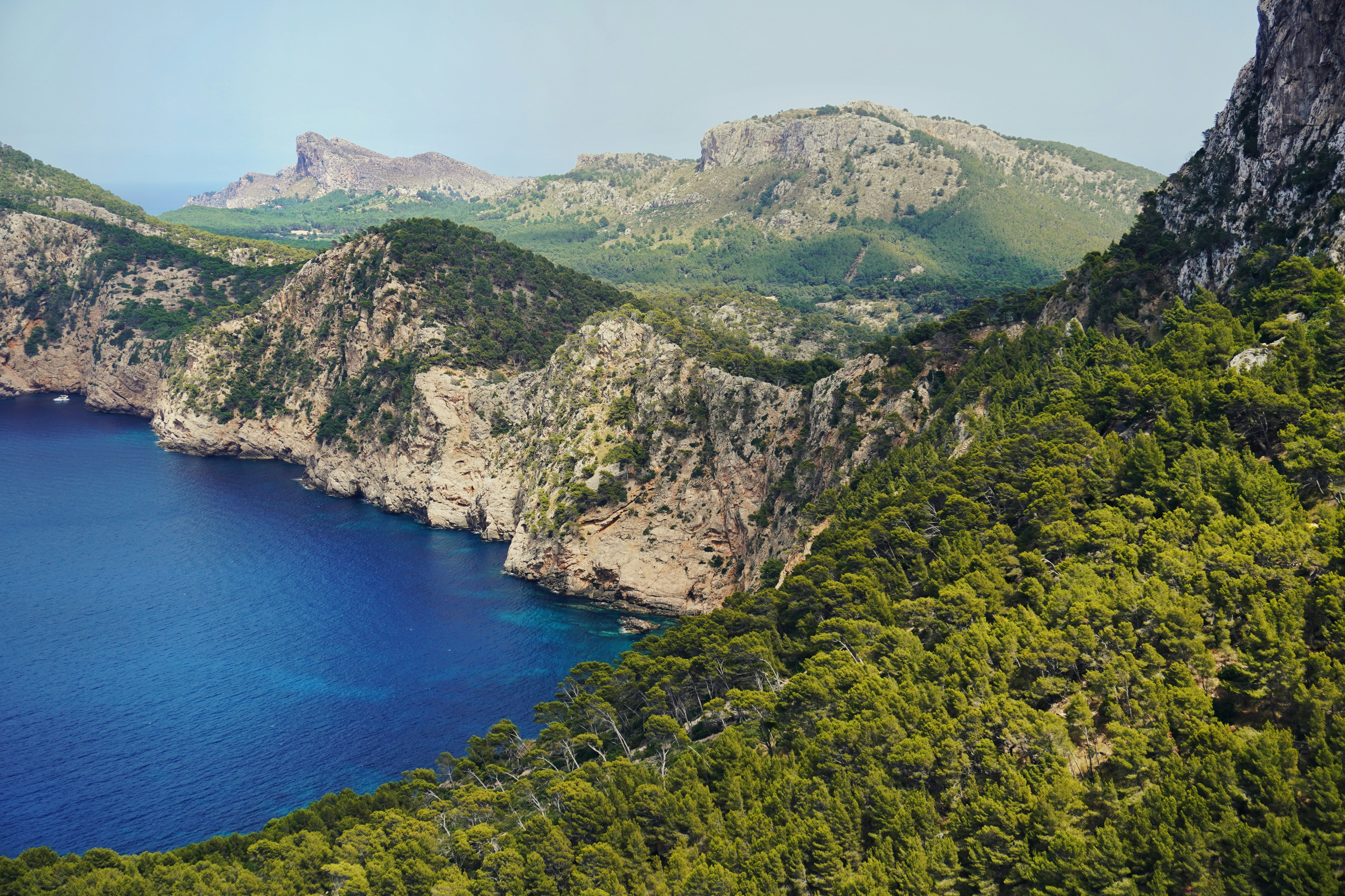 Photo by alettadnagy