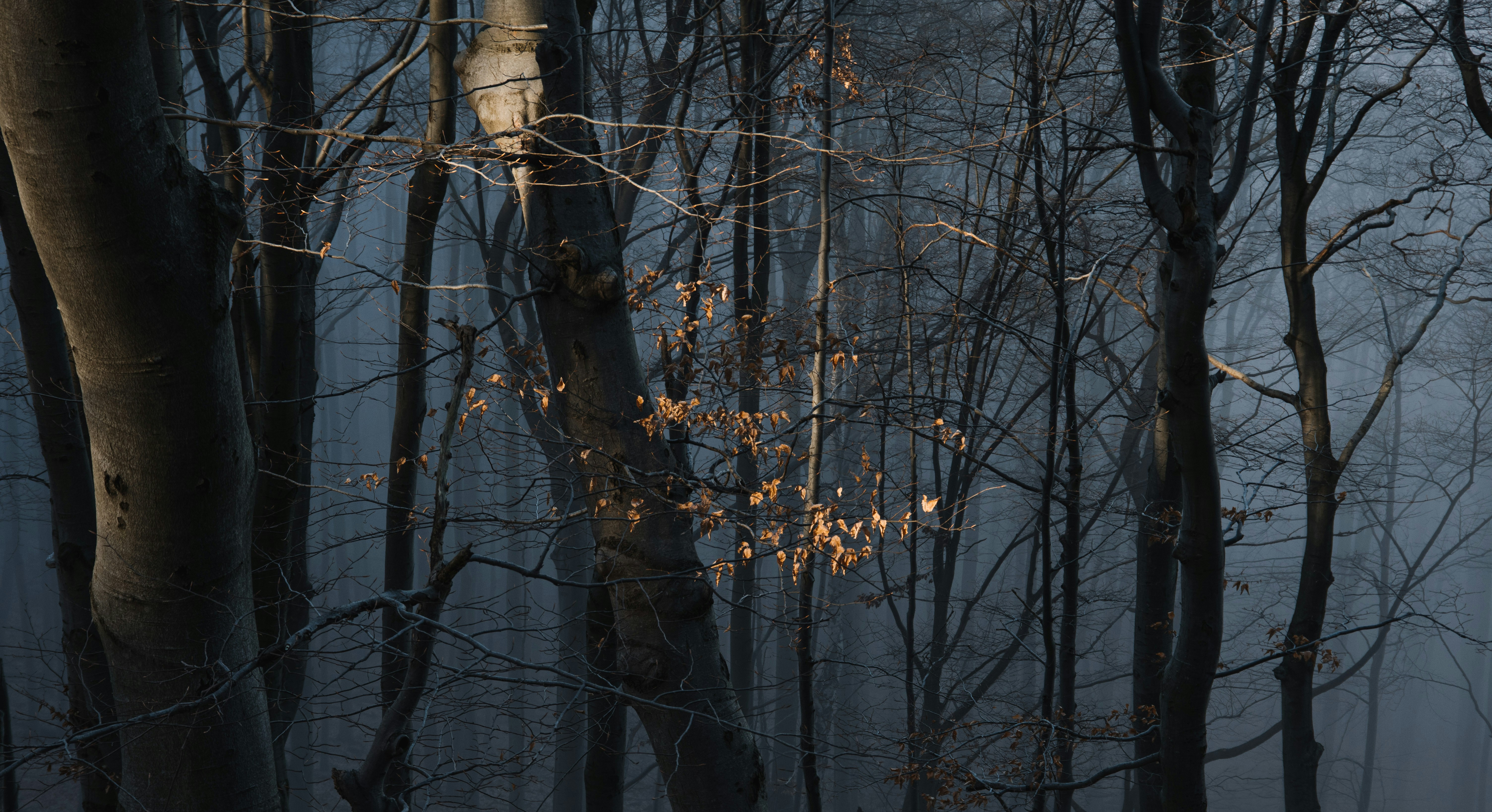 Photo by buduczki