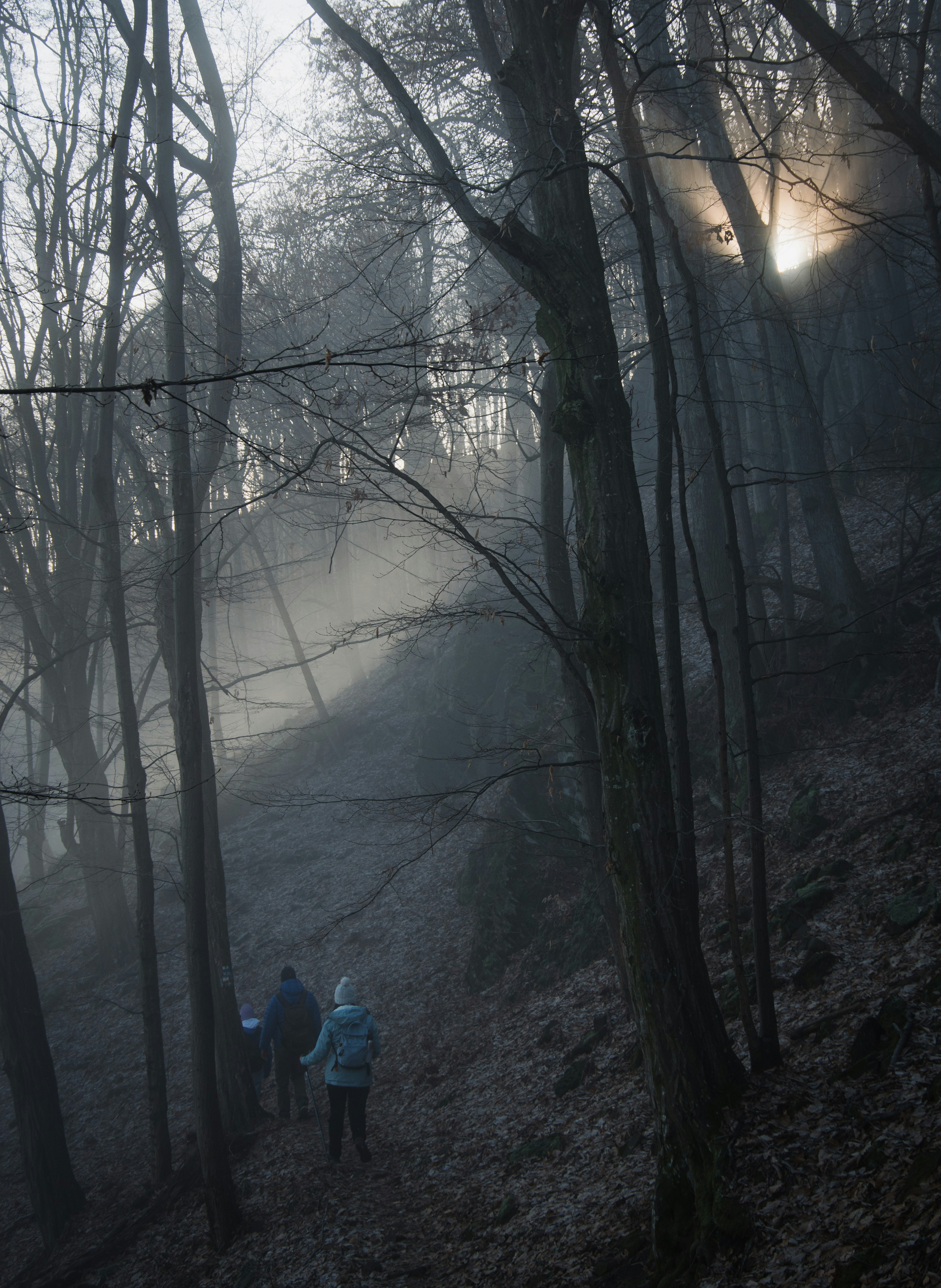 Photo by buduczki